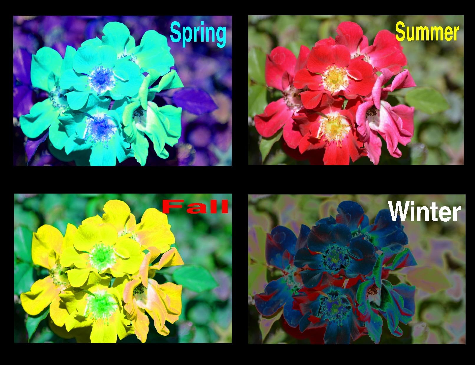 fall, summer, spring, four, seasons, 720P, winter, HD Wallpaper