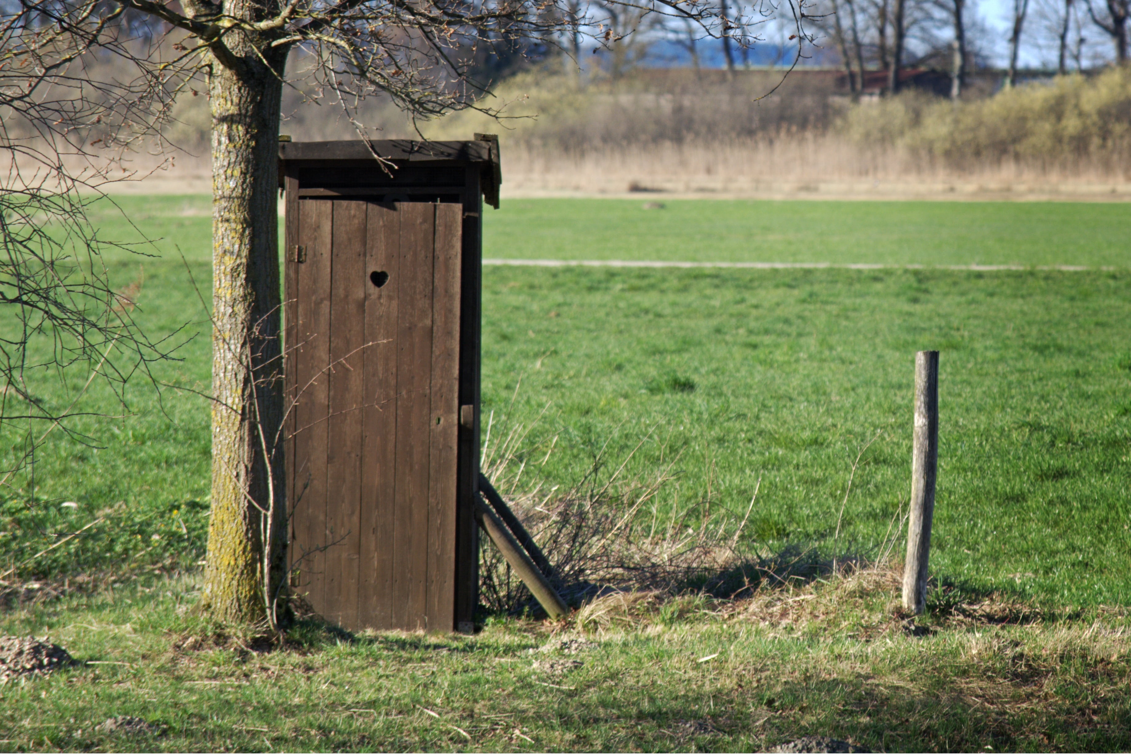 non-urban scene, protection, sanitary, architecture, outdoor, door, meadow, built structure, outdoors, plant, wood - material, field, tranquility, toilet cabin, HD Wallpaper