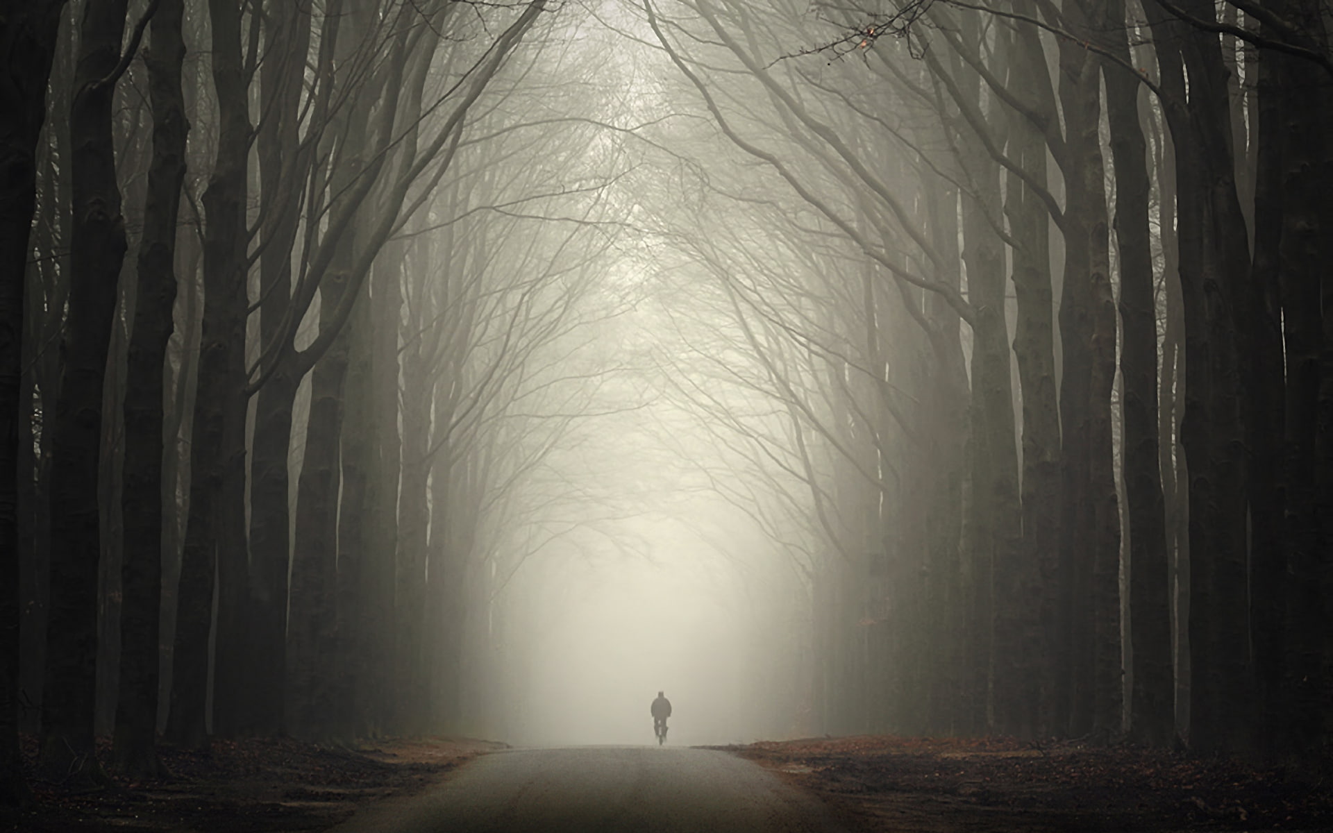 road, in-line, mist, bicycle, fall, dirt road, gloomy, 1080P, HD Wallpaper