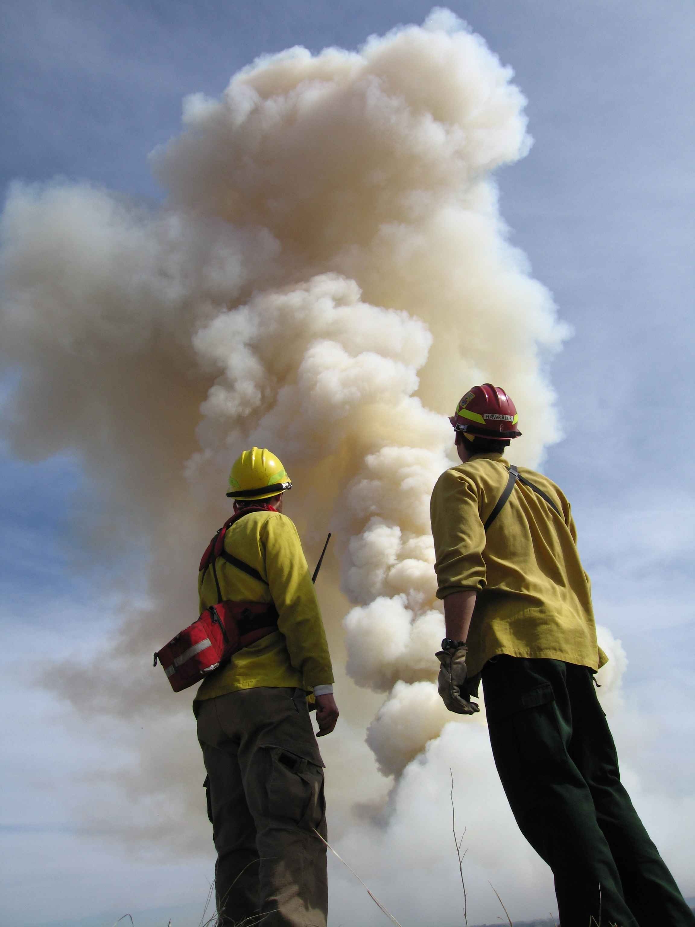 clothing, firefighters, male, pollution, communication, fire, lifestyles, big, two people, front, smoke - physical structure, firefighter, day, courage, Phone HD Wallpaper
