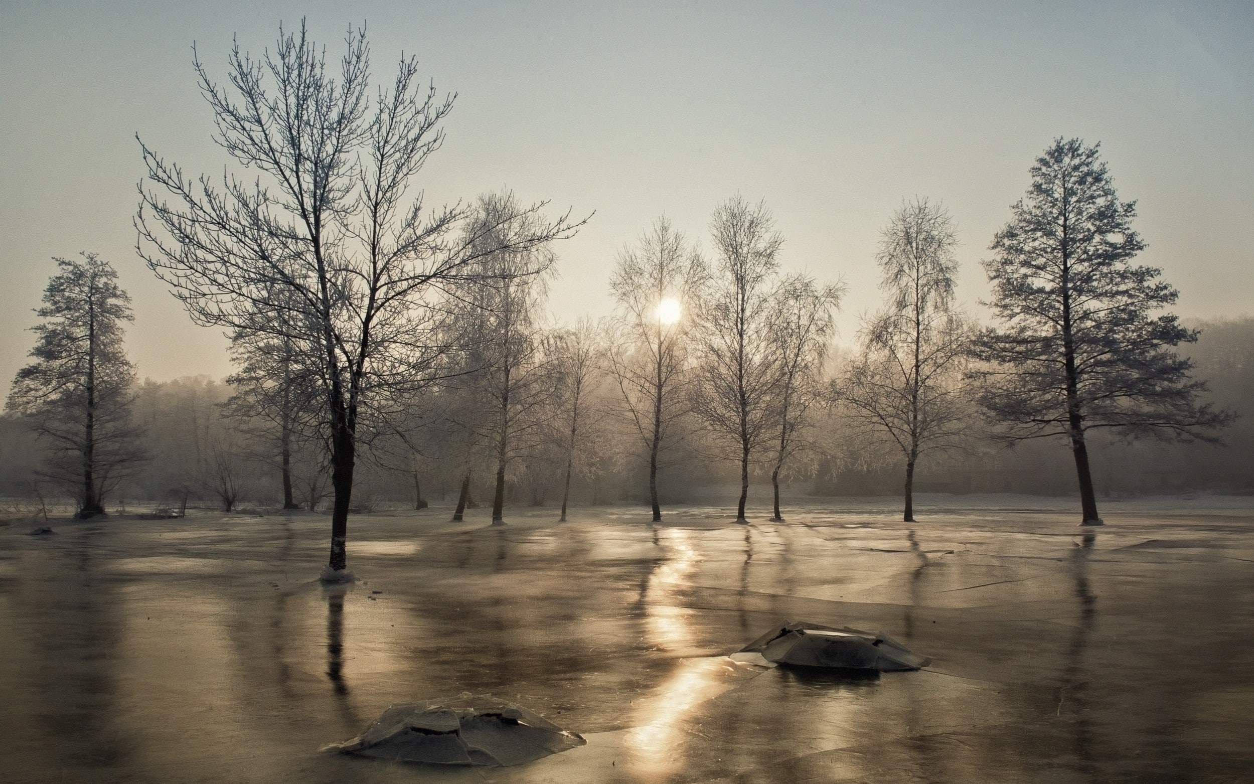 nature, no people, non-urban scene, trees, landscape, scenics - nature, tranquil scene, bare tree, cold temperature, ice, frost, frozen, cold, tranquility, HD Wallpaper