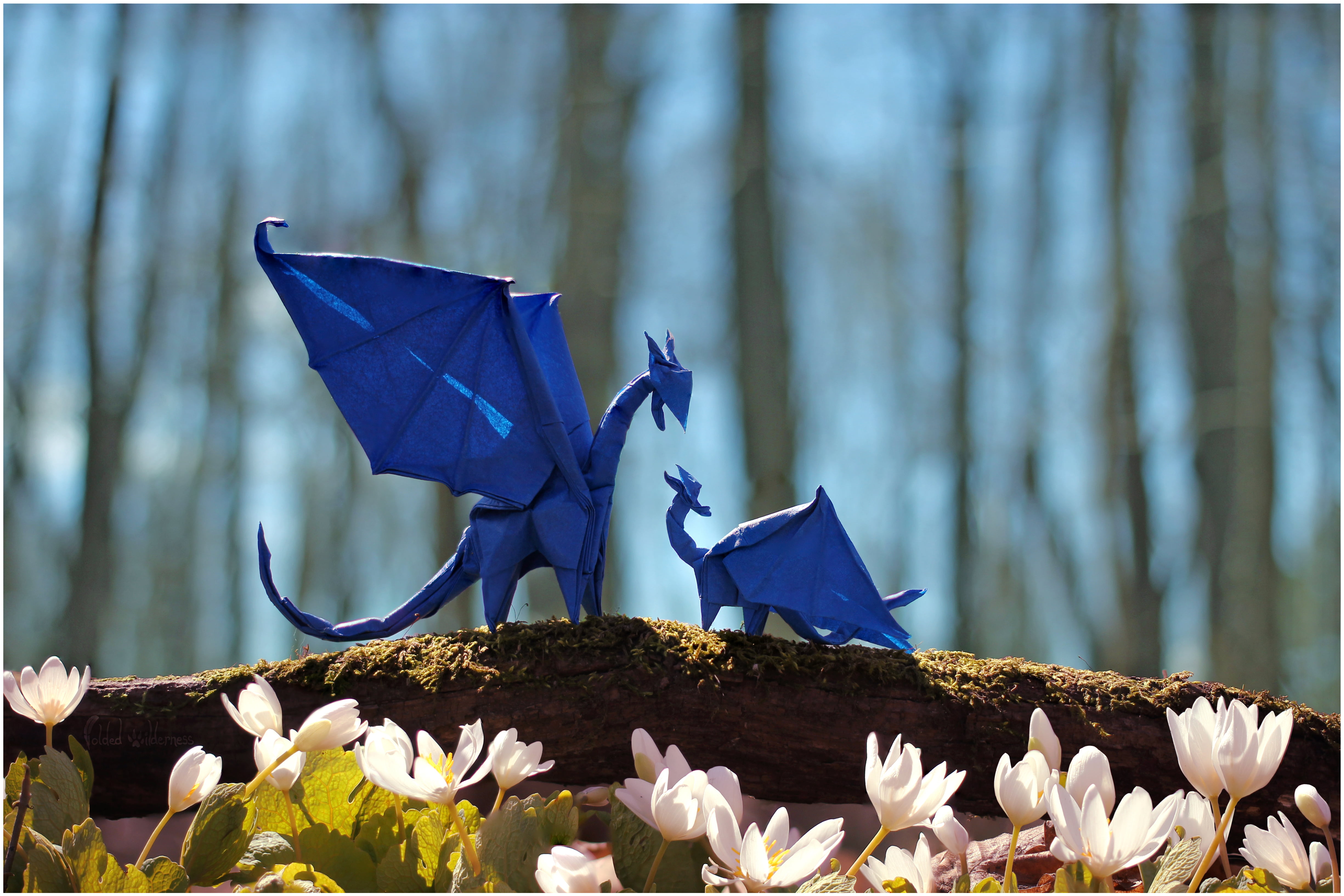 bokeh, blue, branch, puppy, flowers, trees, 4K, dragons, mother, forest, HD Wallpaper