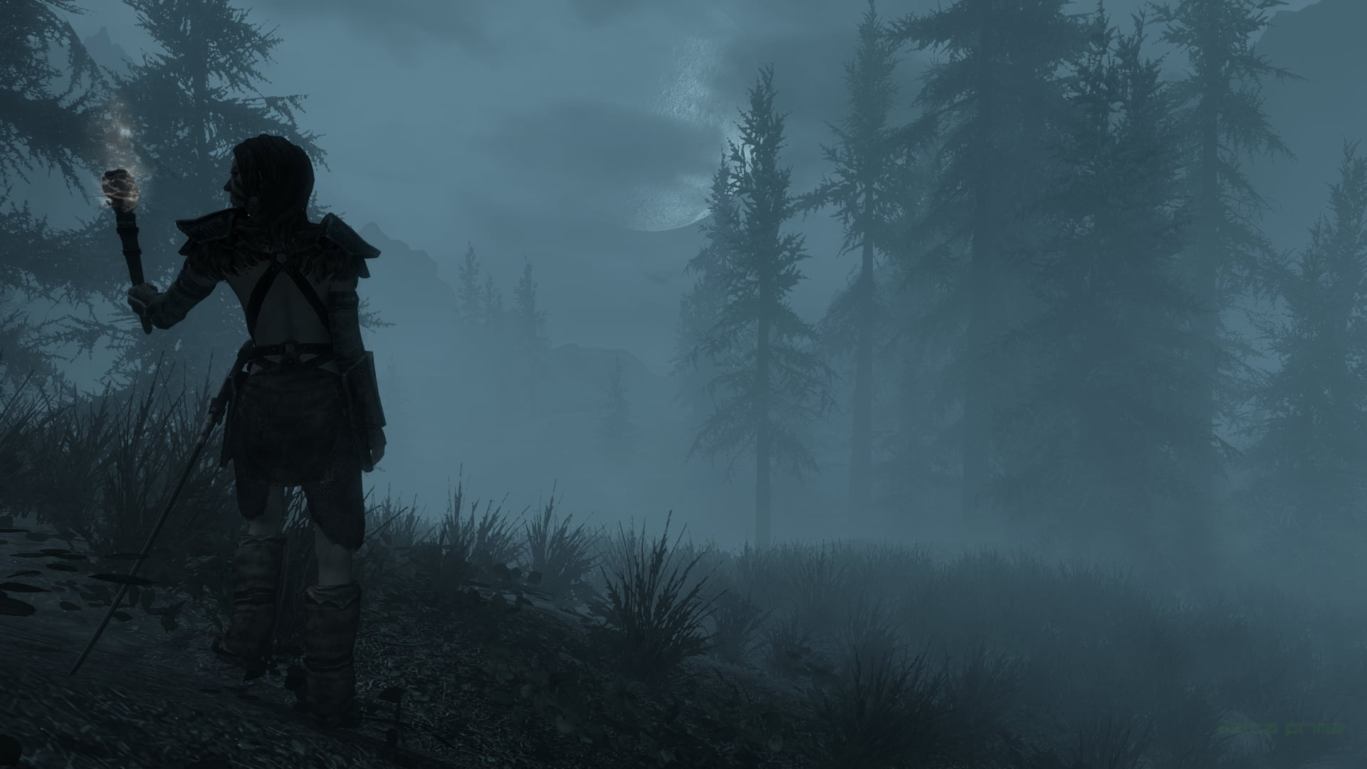 1080P, screen shot, mist, The Elder Scrolls V: Skyrim, Moon, snow, winter, PC gaming, Aela the Huntress (Skyrim), The Companions, in-game, HD Wallpaper