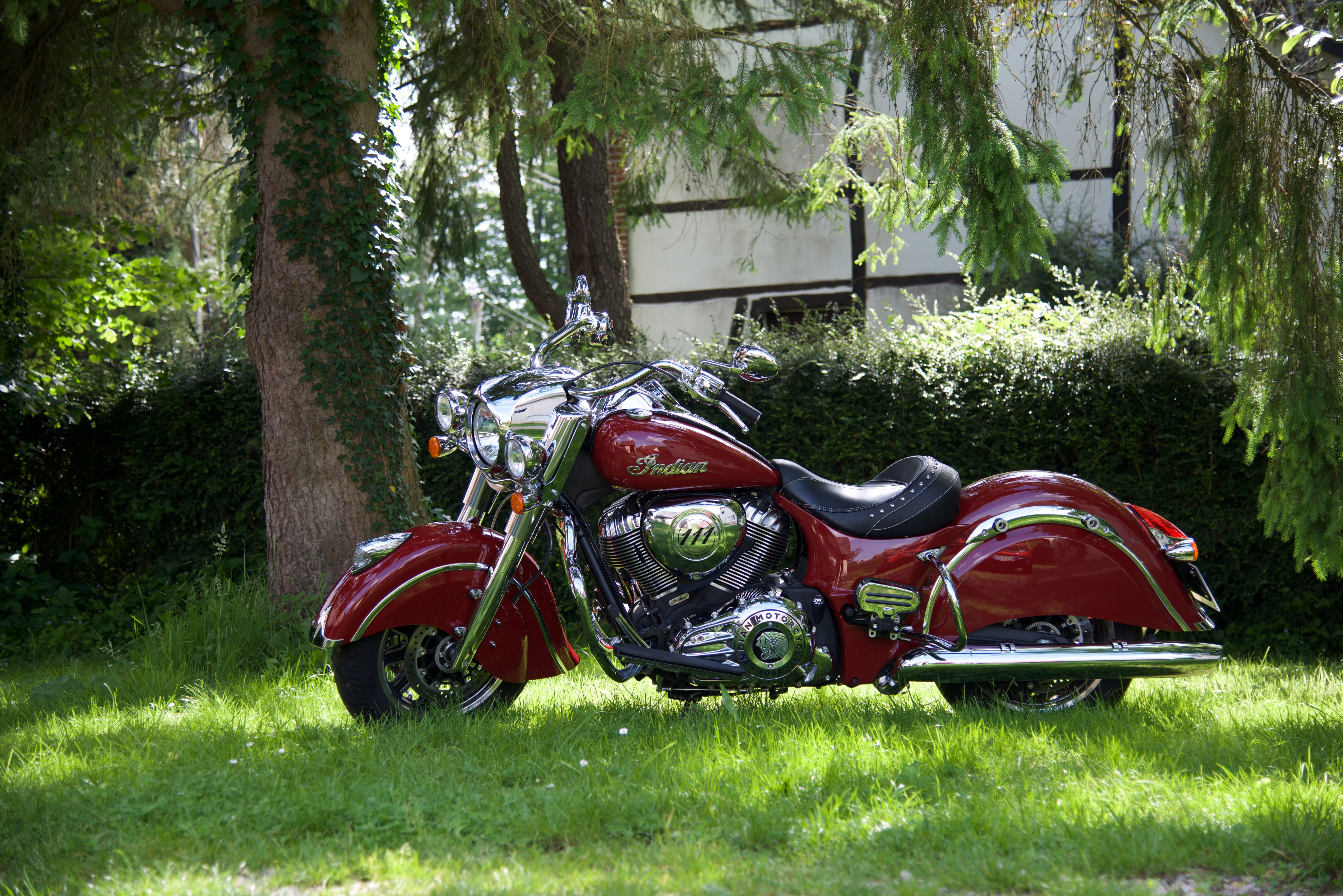 red, field, land, tree, plant, no people, vintage, stationary, green color, grass, motorcycle, nature, growth, land vehicle, 5K, springfield, mode of transportation, HD Wallpaper