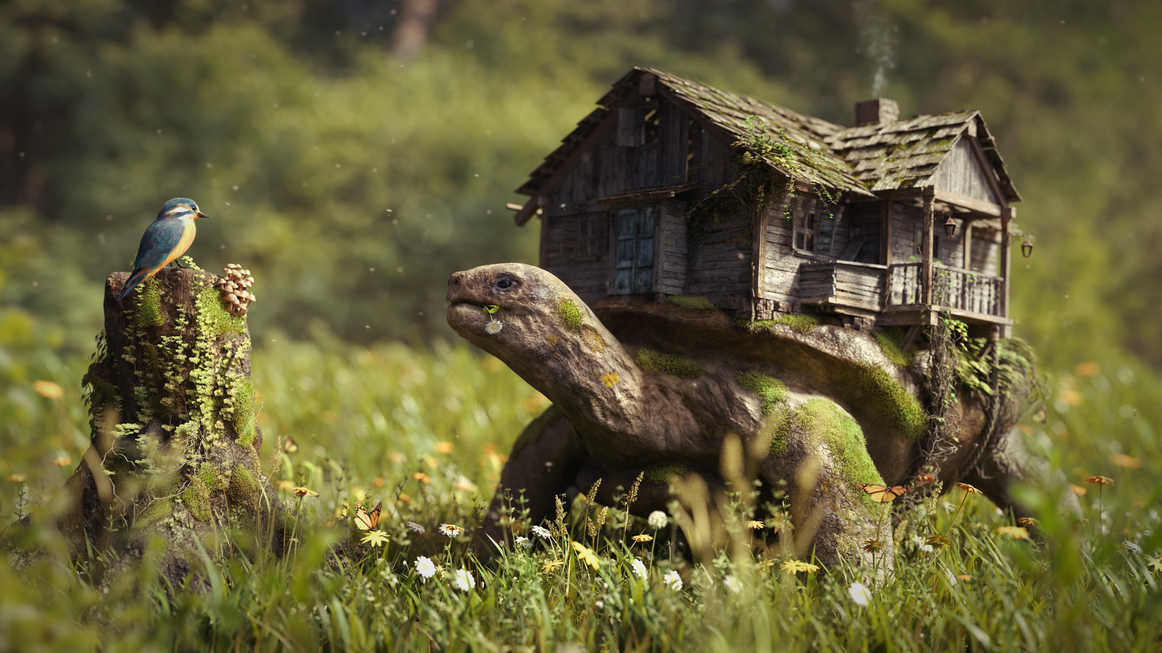 turtle, Log, animal, moss, photography, Tree Stump, no people, animal wildlife, land, birds, digital art, artwork, Old, built structure, Brown, day, bird, HD Wallpaper