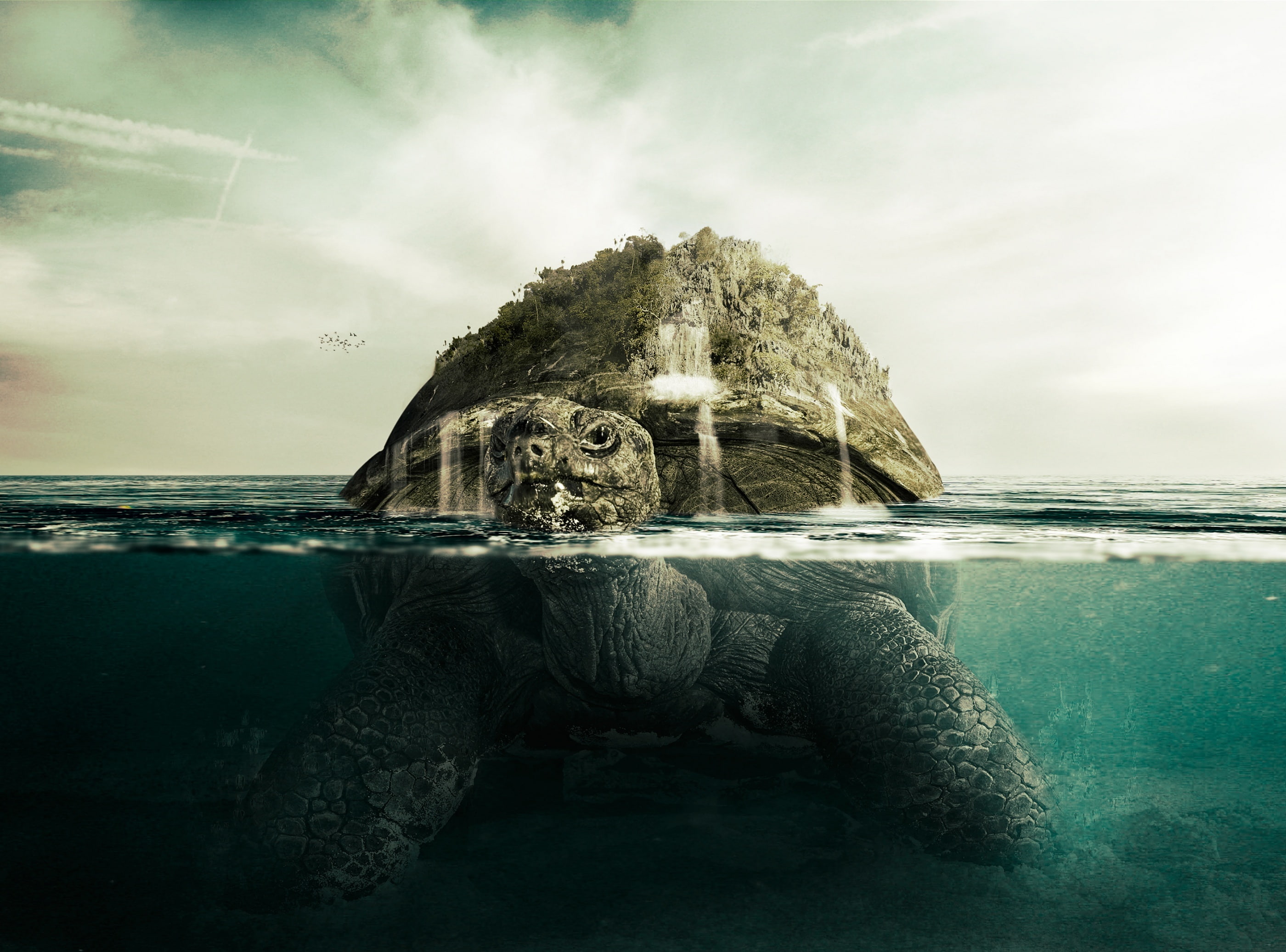 beach, rock, Creative, 2K, tortoise, tranquility, turtle, horizon, digital, water, no people, brown, cloud - sky, sea, horizon over water, idyllic, scenics - nature, HD Wallpaper