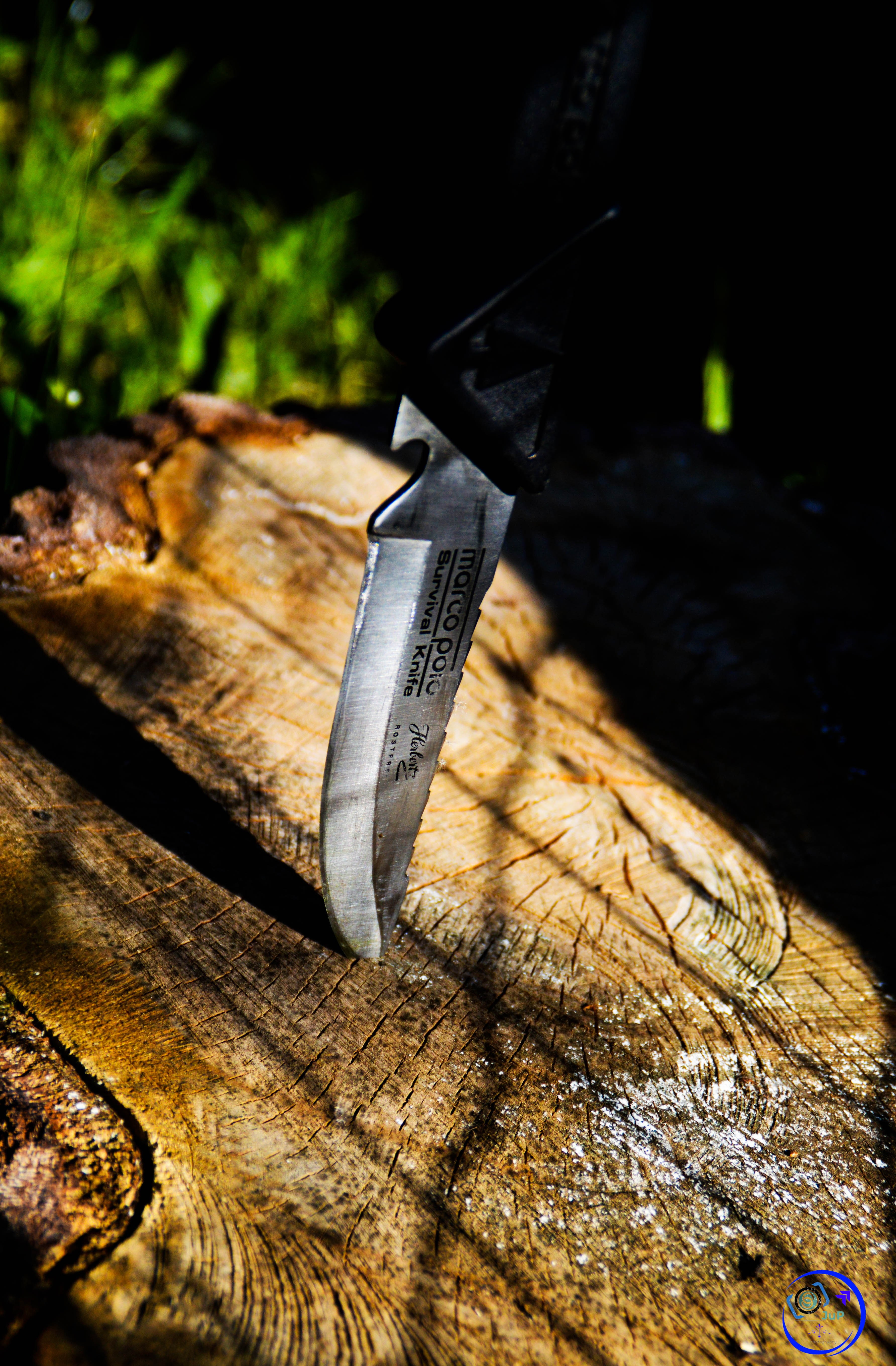 rustic, 5K, kitchen knife, wood - material, weapon, table knife, blade, single object, steel, sharp, cutting, tree stump, alloy, nature, no people, chopped, Phone HD Wallpaper