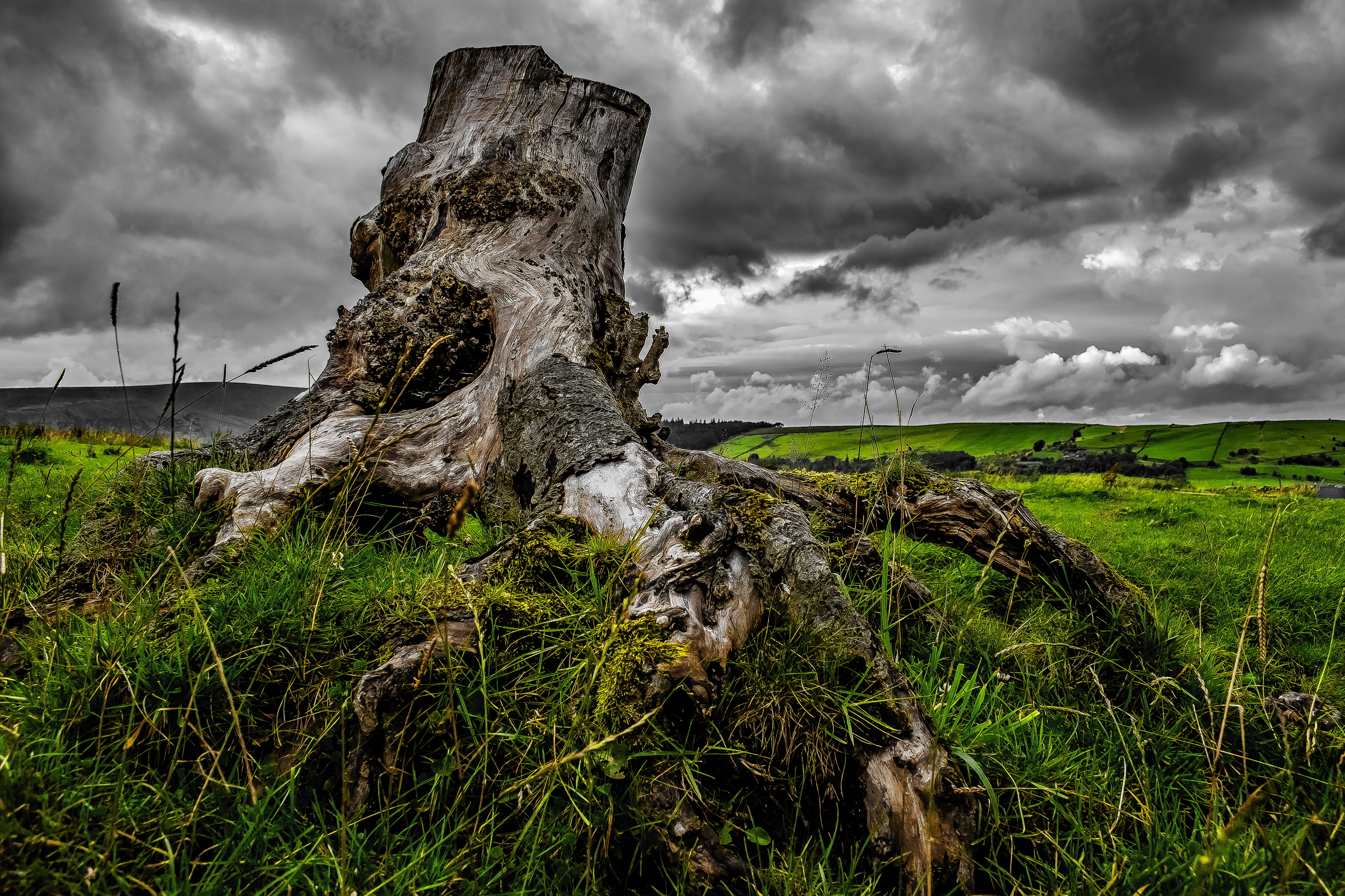 scenics, brown, nature, outdoors, nikkor, sky, tree trunk, lancashire, wood, roughlee, rural, 5K, lens, cloud - Sky, grass, uk, clouds, Old wood, stump, HD Wallpaper