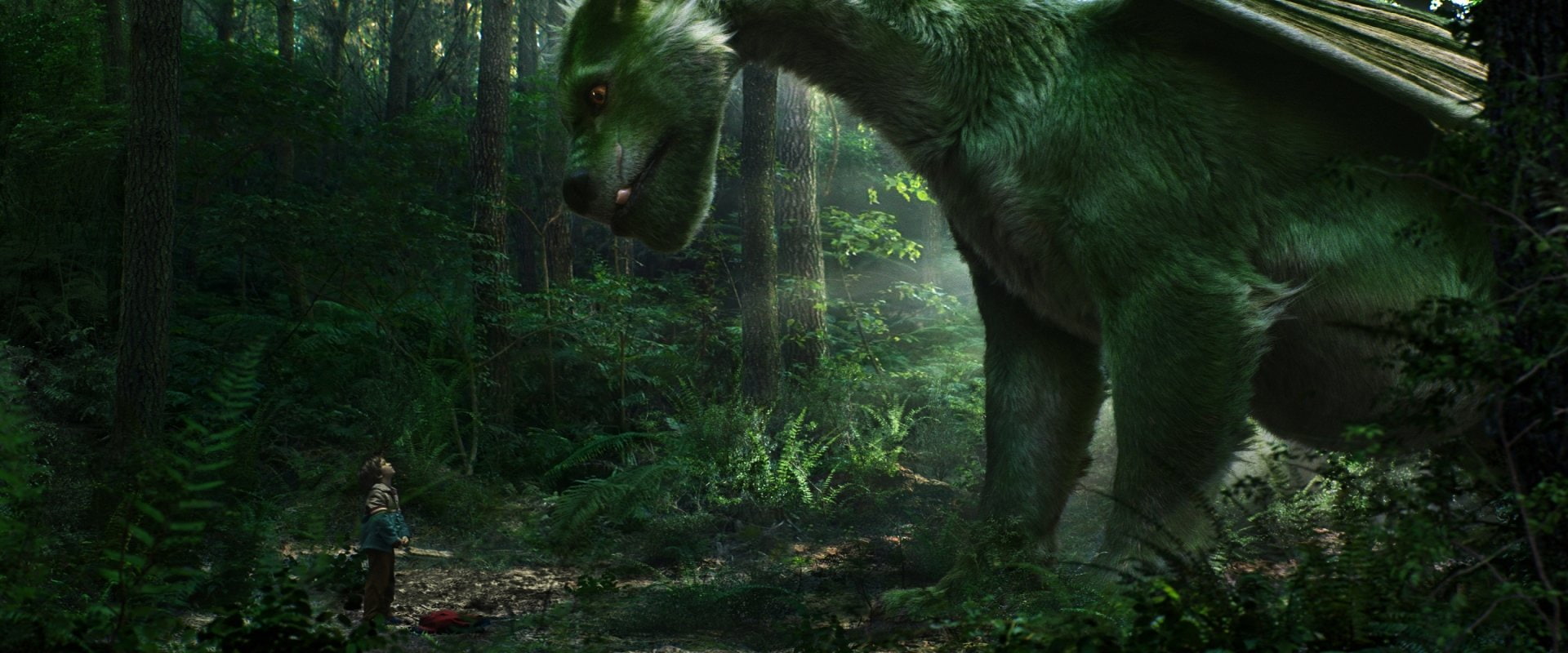 1080P, Movie, Dragon, Petes Dragon, Petes Dragon (2016), Oakes Fegley, Elliot (Petes Dragon), HD Wallpaper