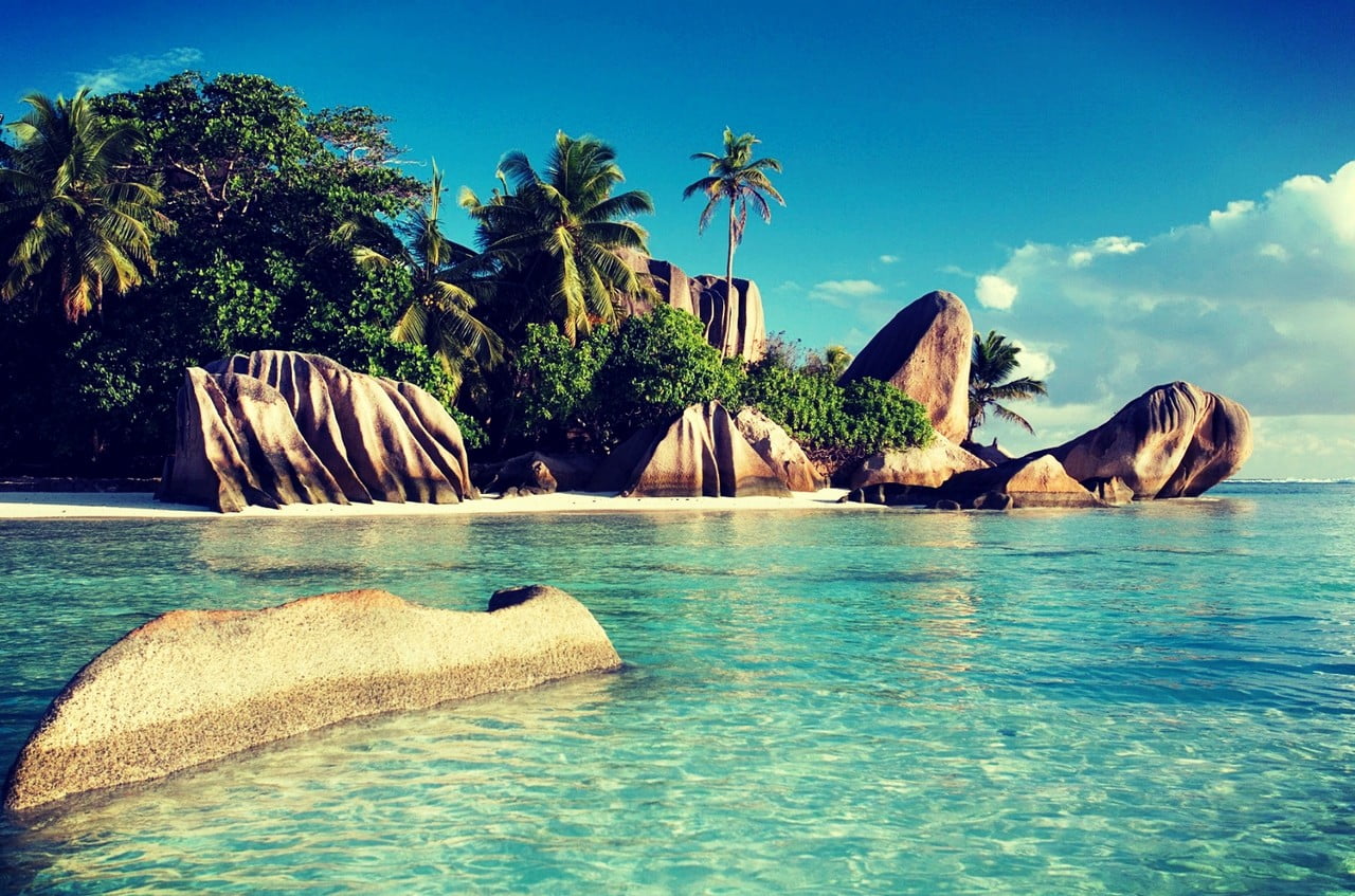rock - object, coconut palm tree, waterfront, leafed, scenics - nature, sky, rock, palm tree, tranquility, outdoors, holiday, cyan, tranquil scene, beauty in nature, HD Wallpaper