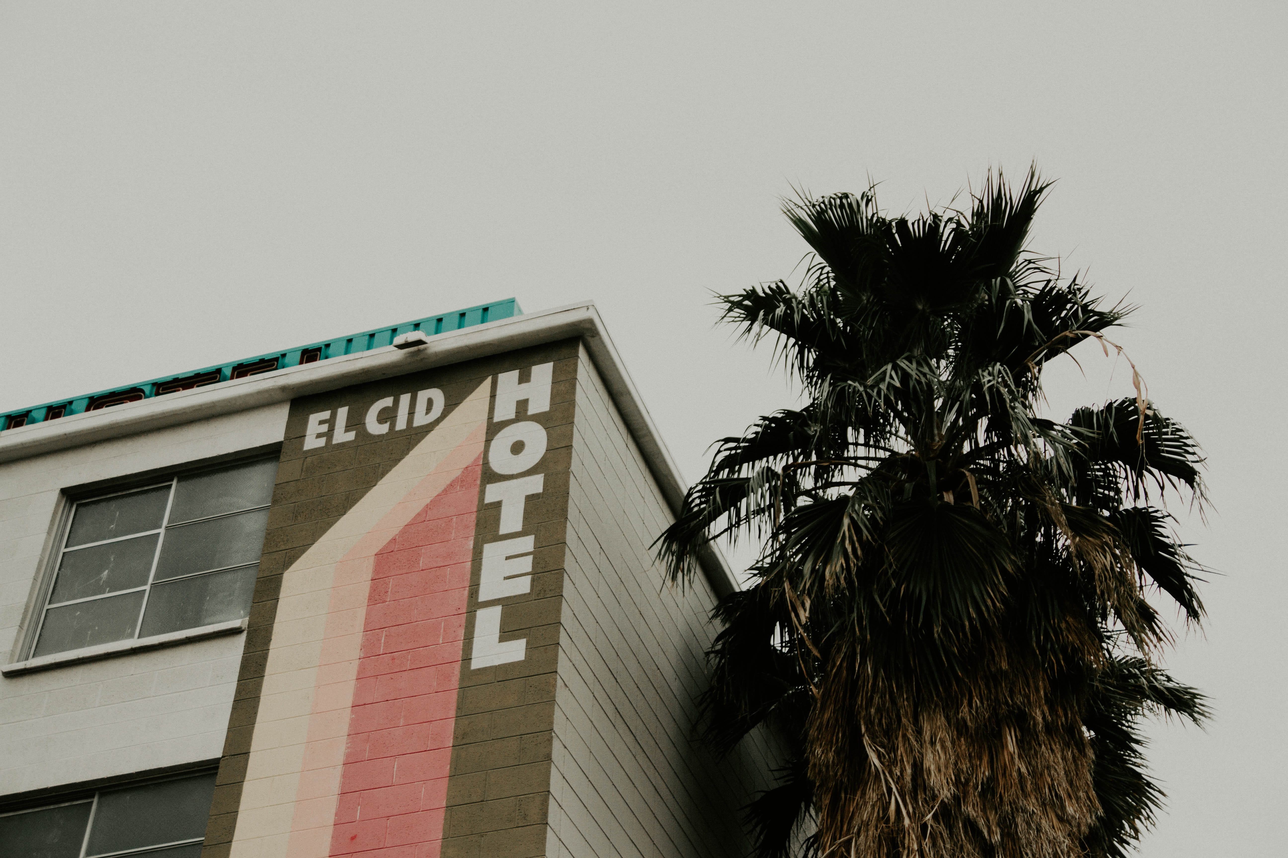 5K, eye, palm tree, plant, hotel, tropical climate, view, wall - building feature, cid, text, sign, looking up, day, growth, nature, building, tree, building exterior, HD Wallpaper