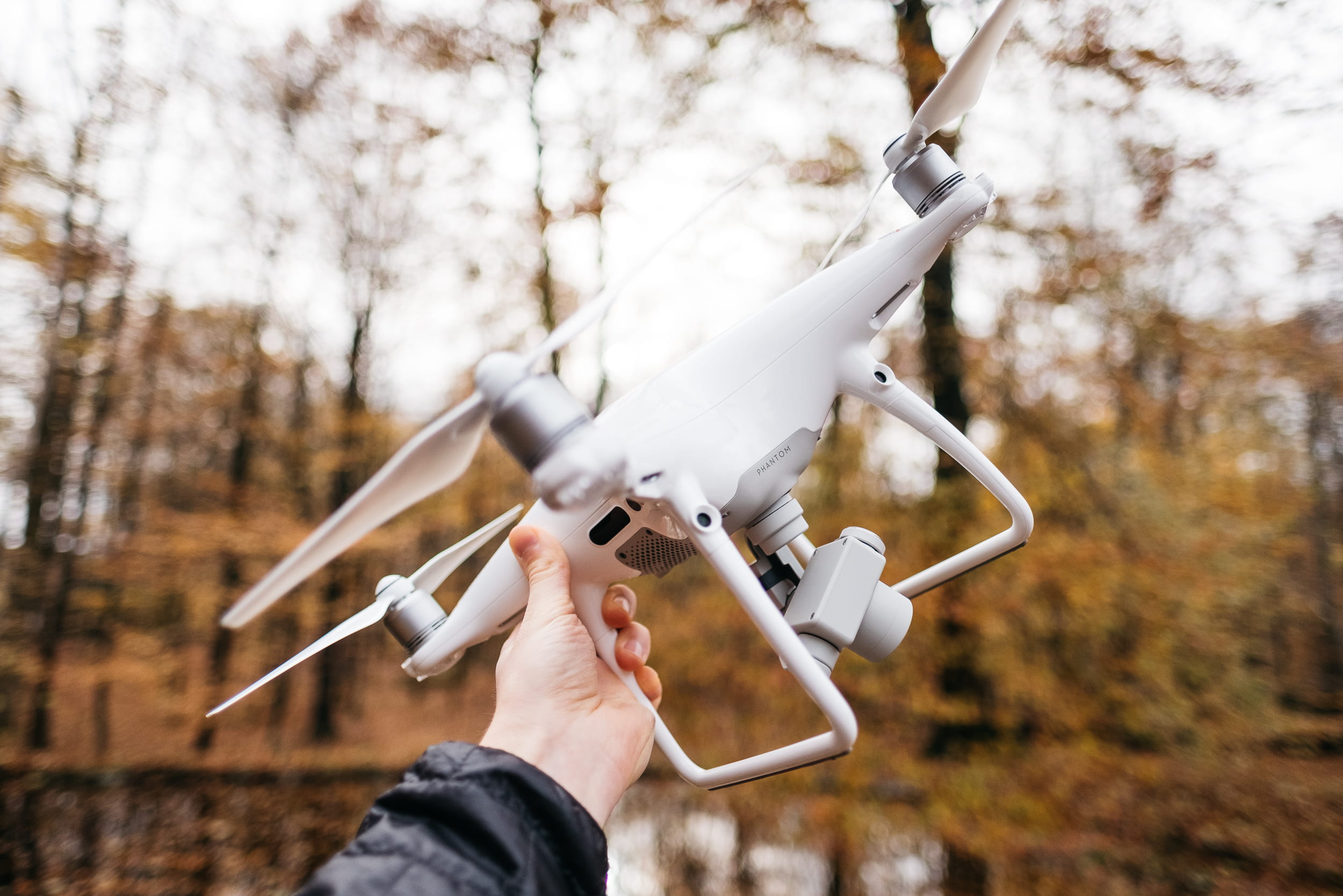 finger, hand, human hand, unrecognizable person, nature, holding, plant, real people, human finger, land, tree, phantom, body part, 1080P, camera, drone, HD Wallpaper