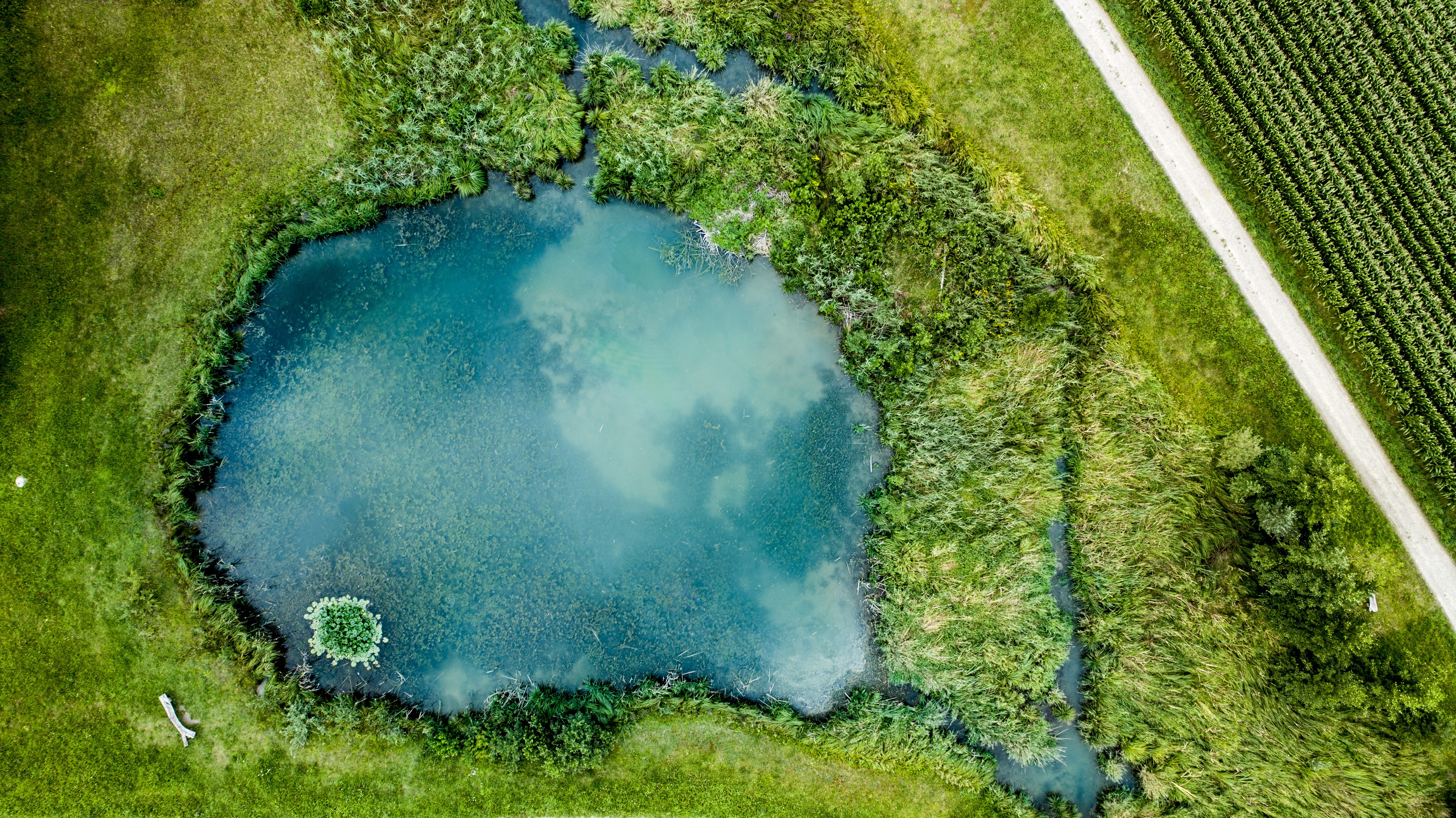 no people, high angle view, wave, 5K, heat - temperature, dji phantom, gradient, holidays, various colors, images, brine, view, smoke - physical structure, HD Wallpaper