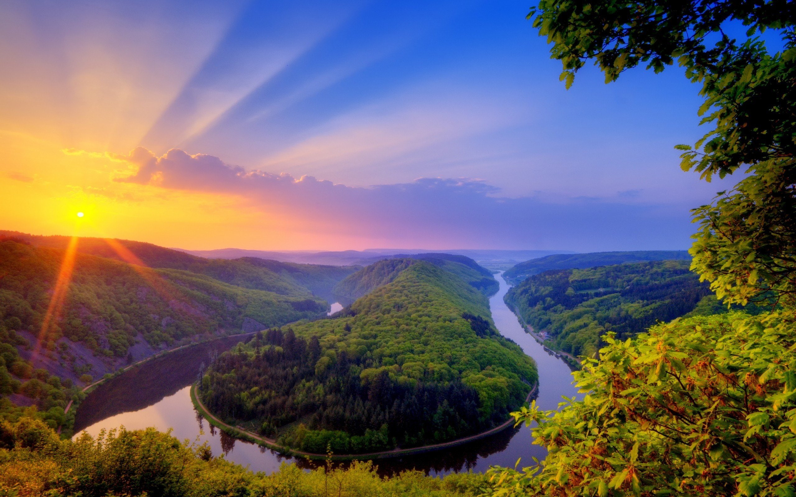 nature, sunset, landscapes, rivers, saars, 2K, forest, trees, HD Wallpaper