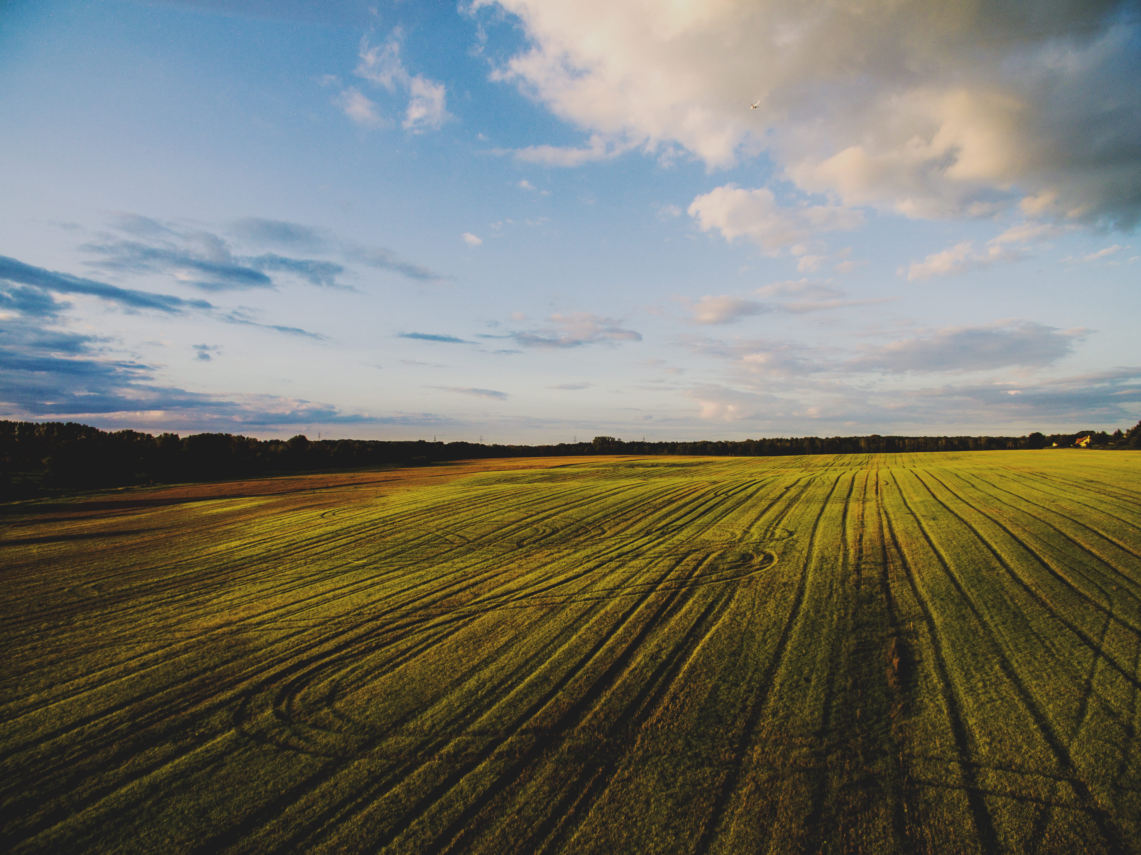 deutschland, tranquil scene, life, neuenhagen bei berlin, no people, day, plantation, outdoors, farm, environment, rural scene, landscape, agriculture, HD Wallpaper