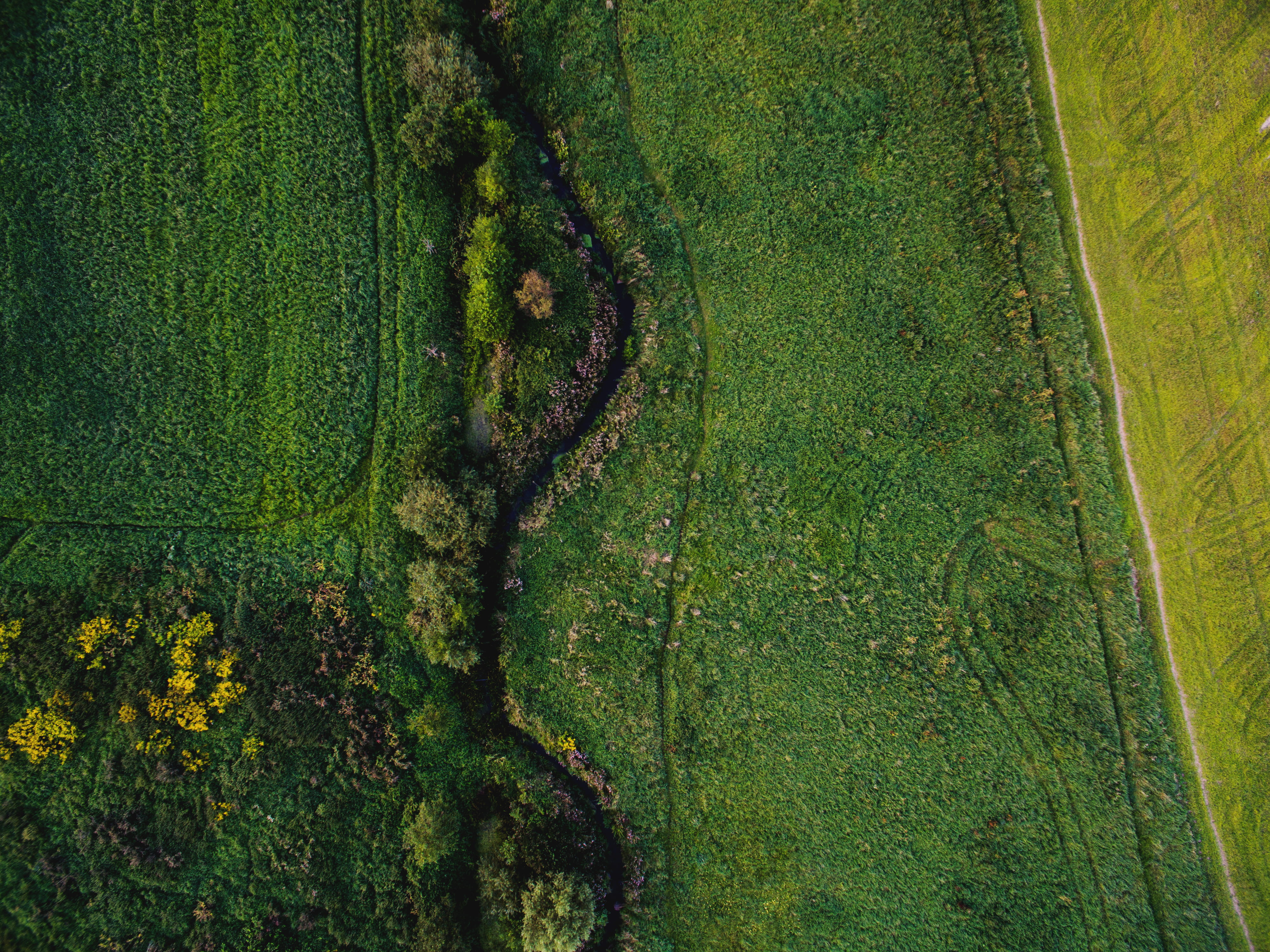 plant, dji, field, environment, high angle view, aerial view, nature, land, green color, directly above, day, tranquility, growth, neuenhagen bei berlin, HD Wallpaper