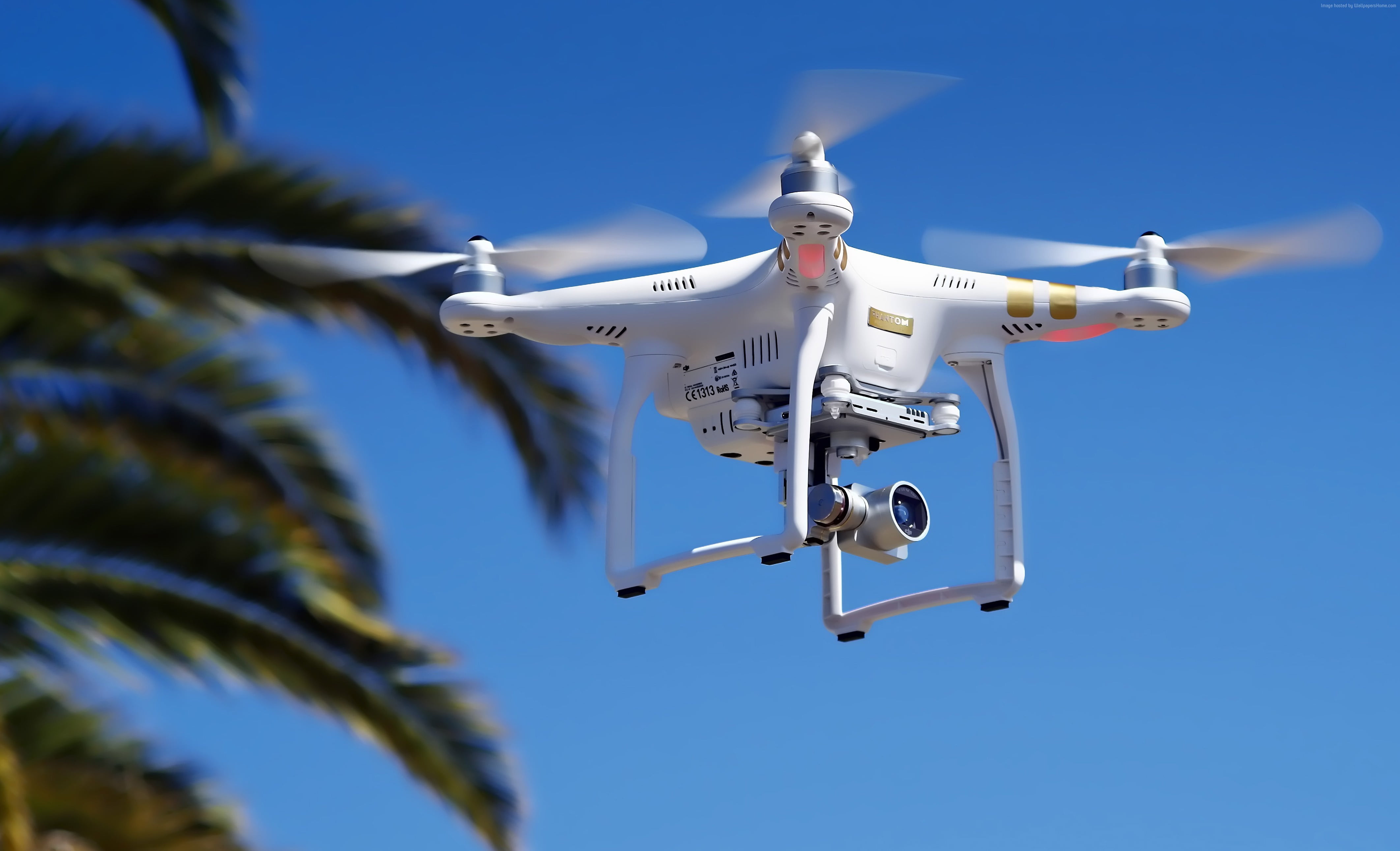 day, air vehicle, outdoors, sky, blue, motion, low angle view, flying, 4K, nature, airplane, aerospace industry, high tech, white, photography themes, HD Wallpaper