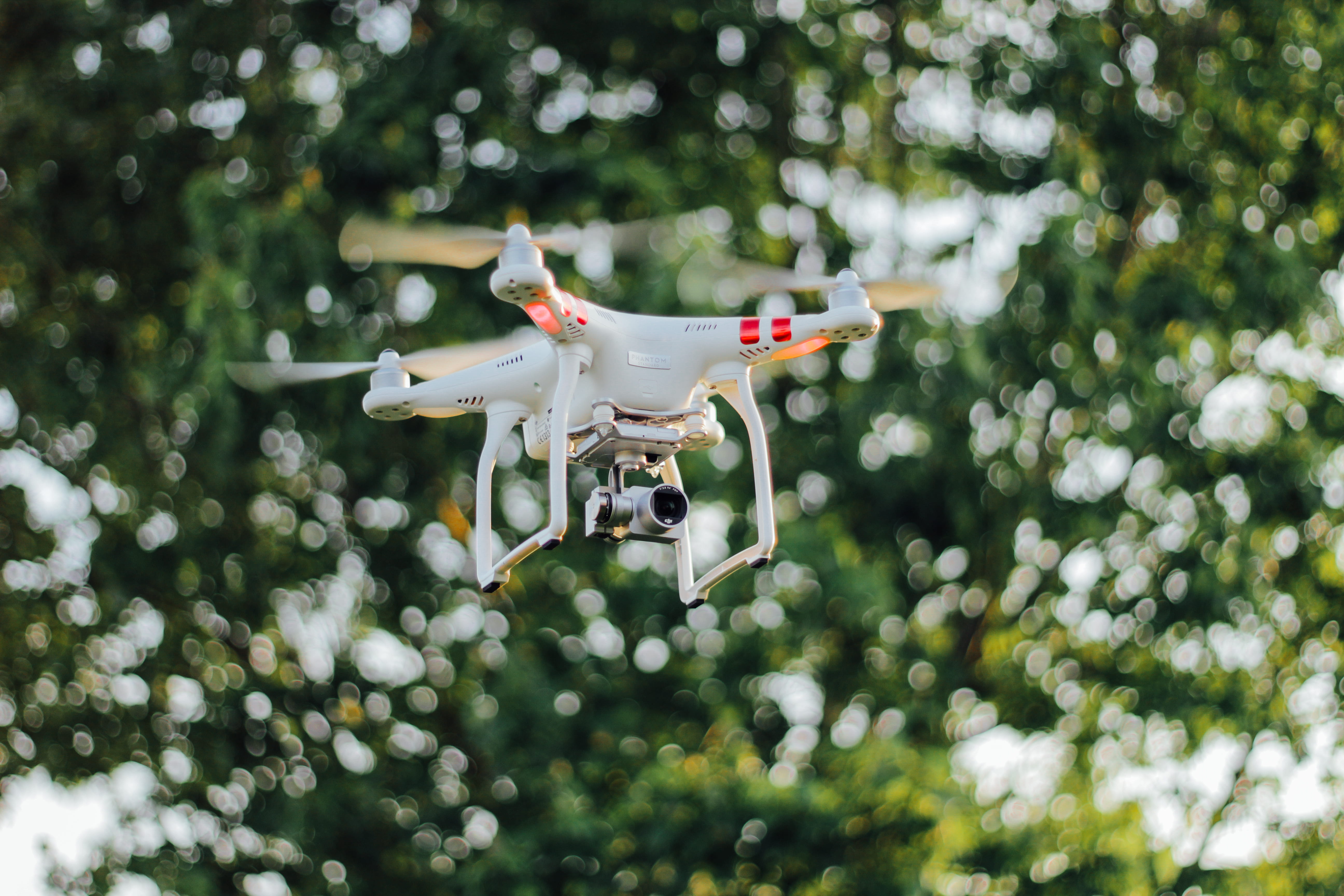 focus on foreground, airplane, plant, selective, motion, technology, up, camera - photographic equipment, outdoors, standard, quadcopter, tree, flying, HD Wallpaper