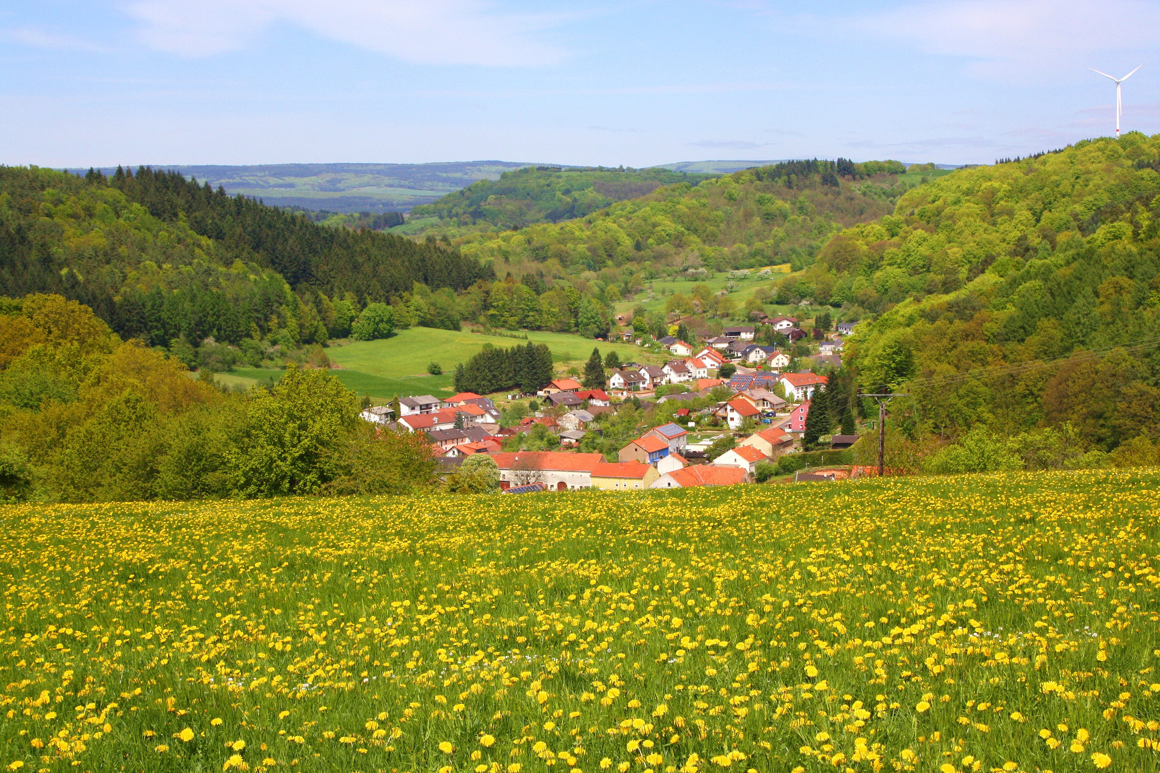 nature, distant view, germany, outlook, spring, garden, growth, springtime, panorama, land, may, architecture, dandelion, saarland, flowers, 4K, mountain, HD Wallpaper