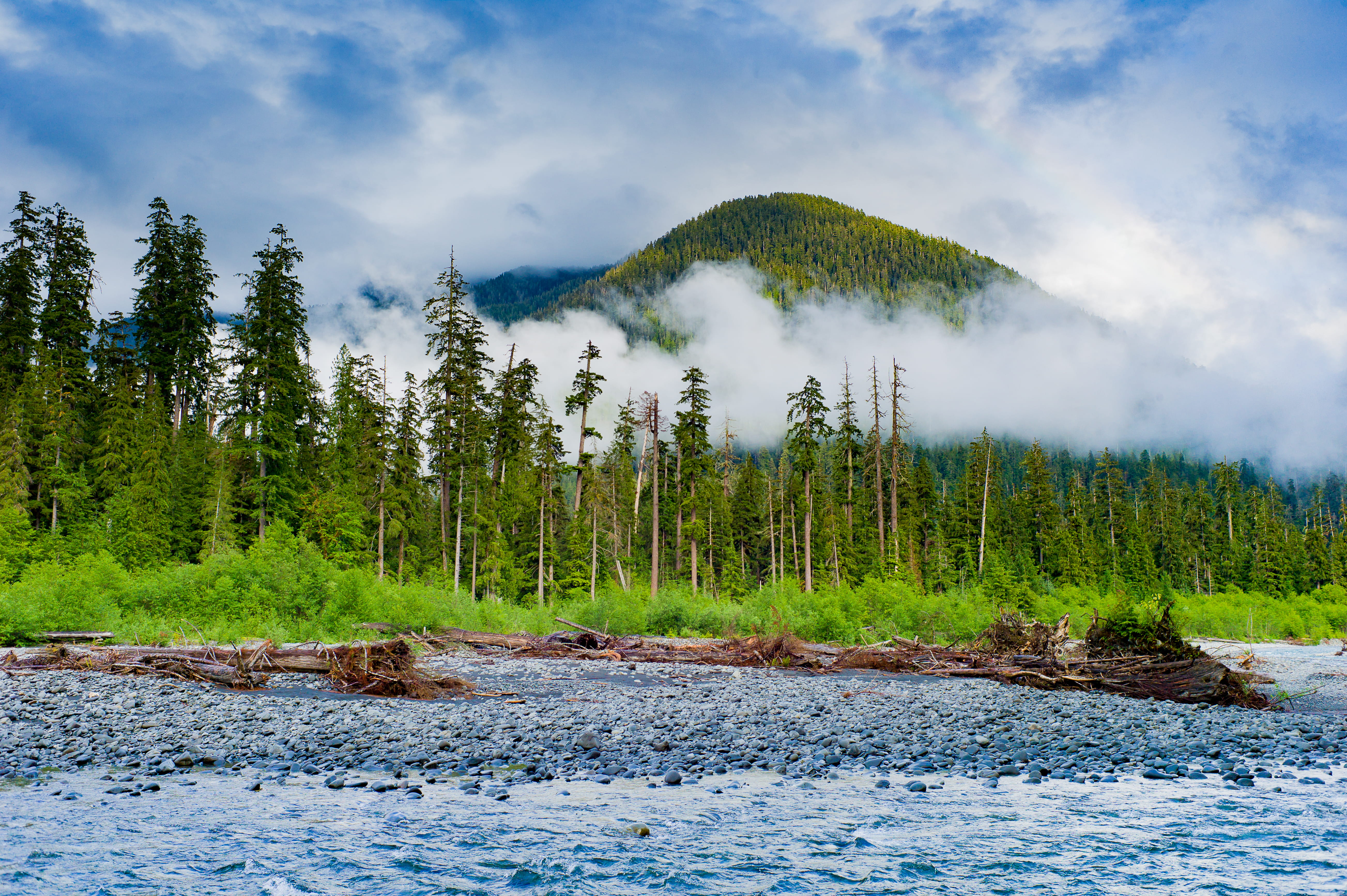 green color, 5K, no people, forest, environment, water, non-urban scene, tranquility, cloud - sky, mountain, hot spring, coniferous tree, tranquil scene, HD Wallpaper