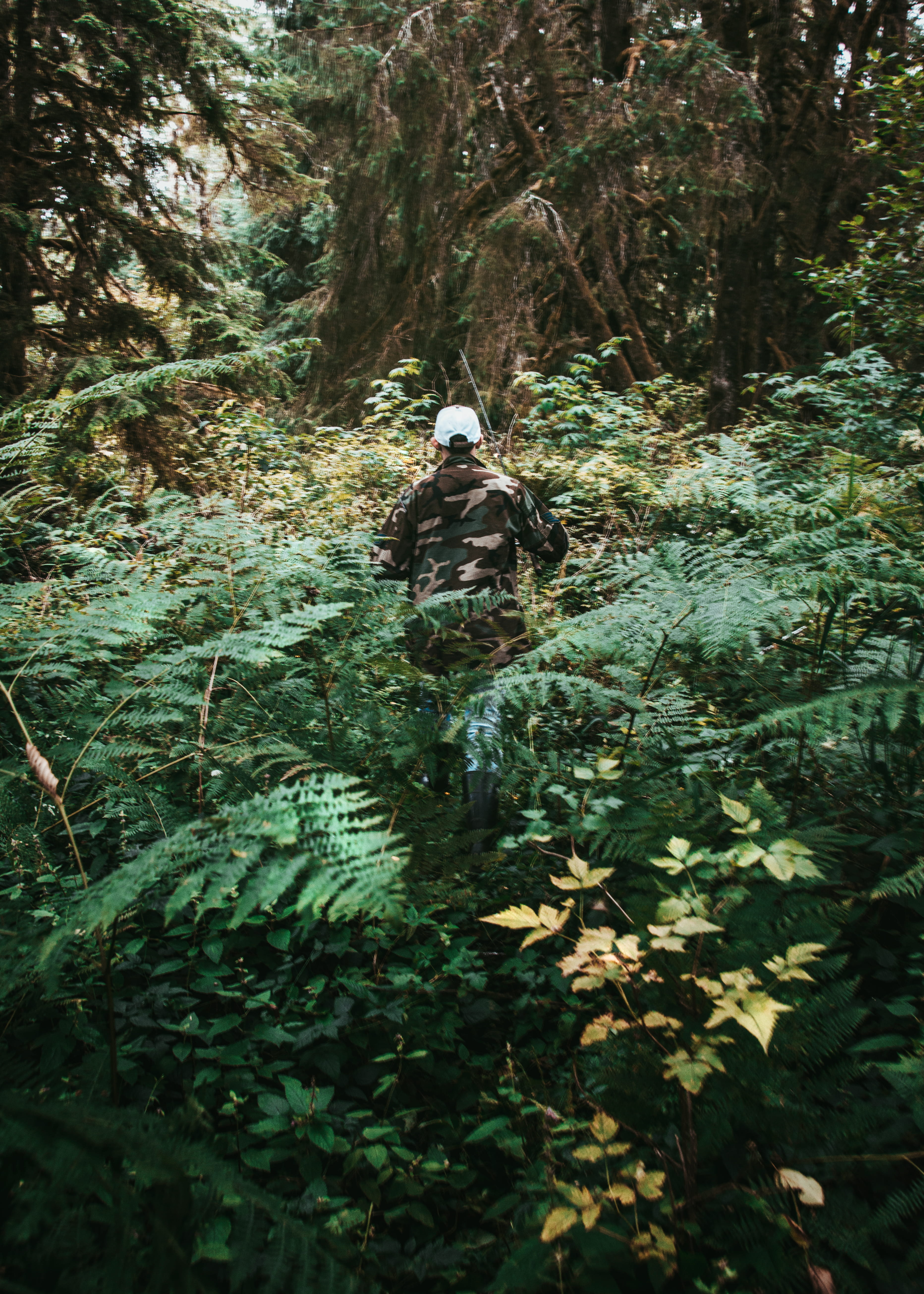 plant, wildside, tranquility, outdoors, men, adventure, explore, plant part, full length, united states, tree, one person, 5K, leaf, people, wanderlust, Phone HD Wallpaper