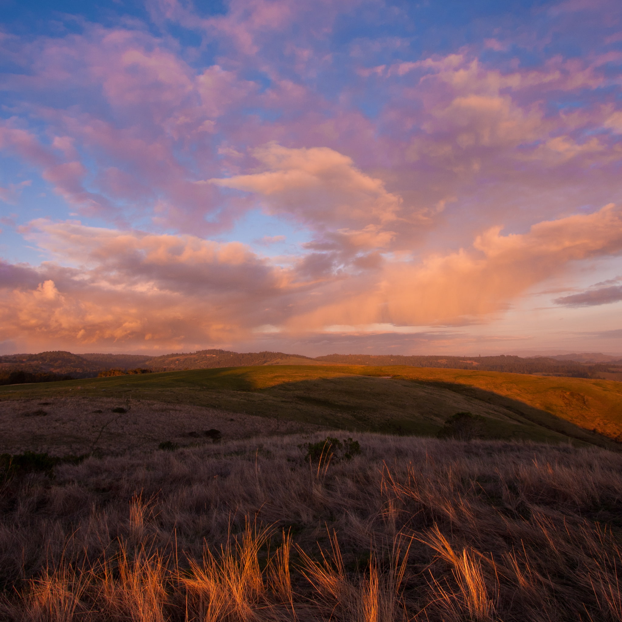 grass, clouds, field, brown, golden, 1080P, scenics - nature, sunset, outdoors, nevada, canonef‑s10‑22mmf/3.5‑4.5usm, mountain, blades, sky, landscape, Phone HD Wallpaper