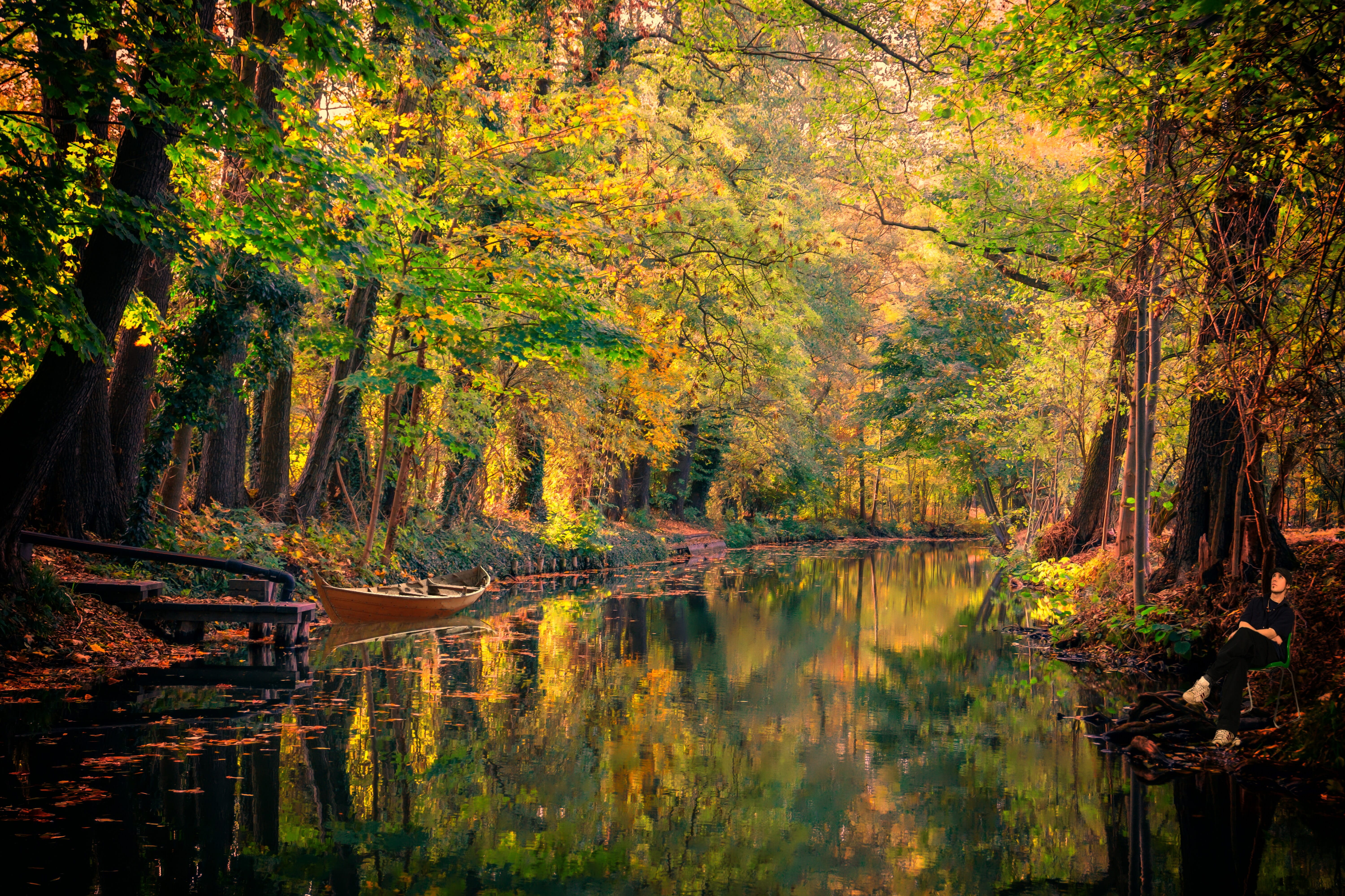 cultural landscape, reflection, waterfront, nature, man, plant, 5K, autumn, tranquil scene, tourism, no people, forest, growth, land, outdoors, idyllic, HD Wallpaper