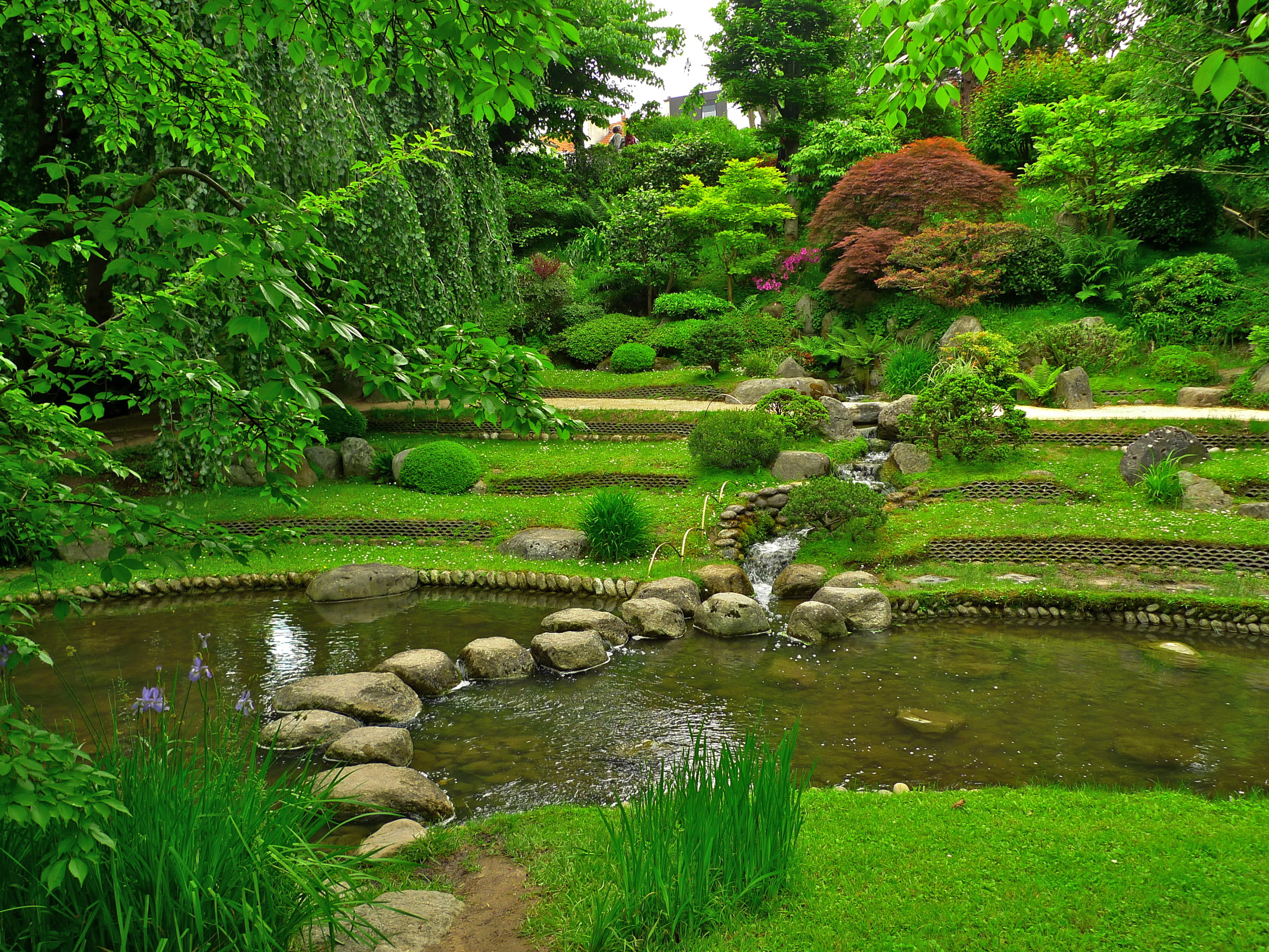 Albert Kahn Japanese gardens, outdoors, grass, green, tree, leafed, pond, water, lake, growth, animal themes, trees, the bushes, beauty in nature, no people, HD Wallpaper