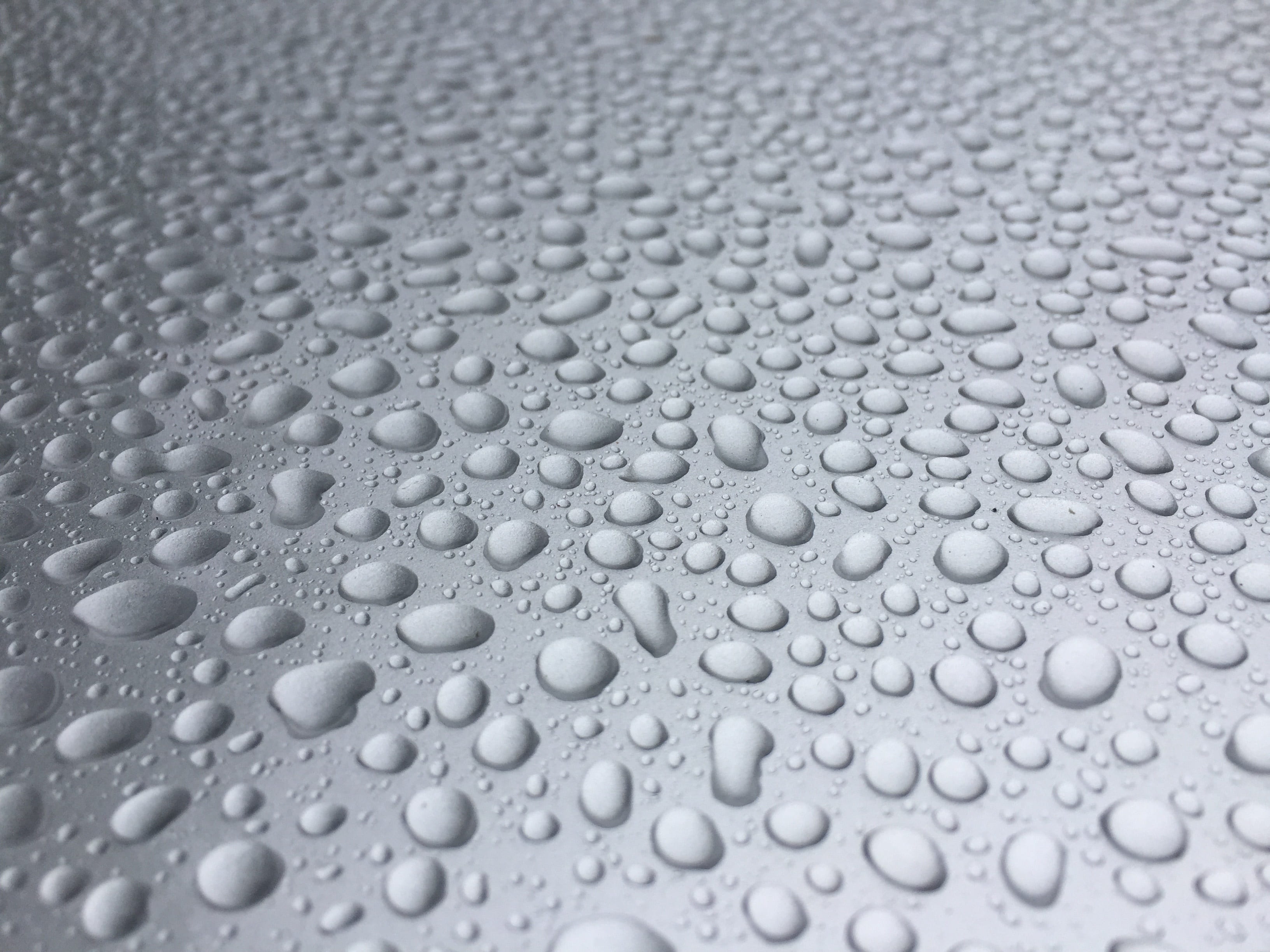 condensation, purity, pattern, car, rain drops, backgrounds, silver, 2K, water, drops, textured, raindrop, abstract, food and drink, droplet, bubble, shiny, HD Wallpaper