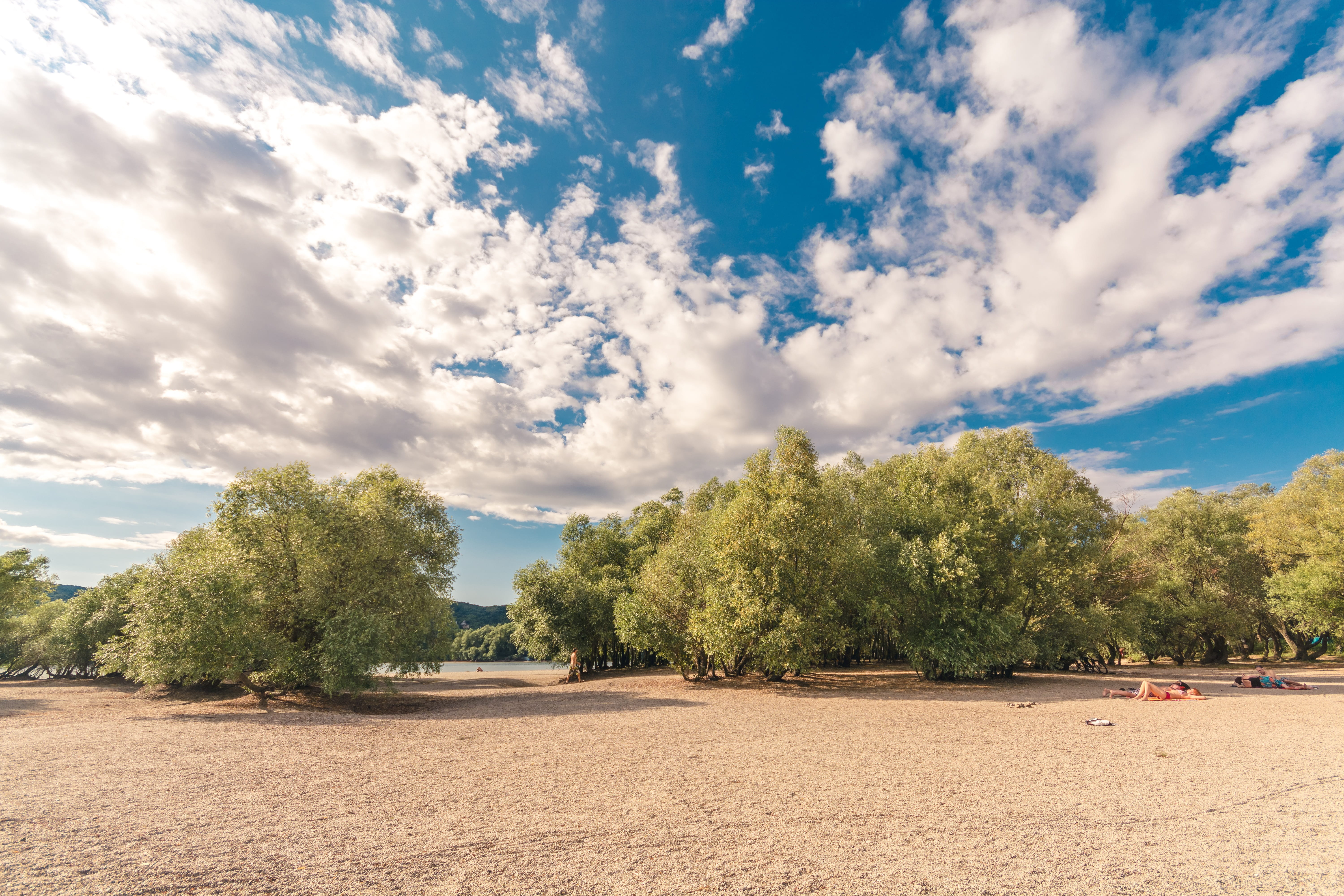 sunshine, tranquility, summer, land, 5K, blue sky, stream, water, green color, trees, scenics - nature, cloud - sky, day, part, hot, tree, plant, tranquil scene, HD Wallpaper