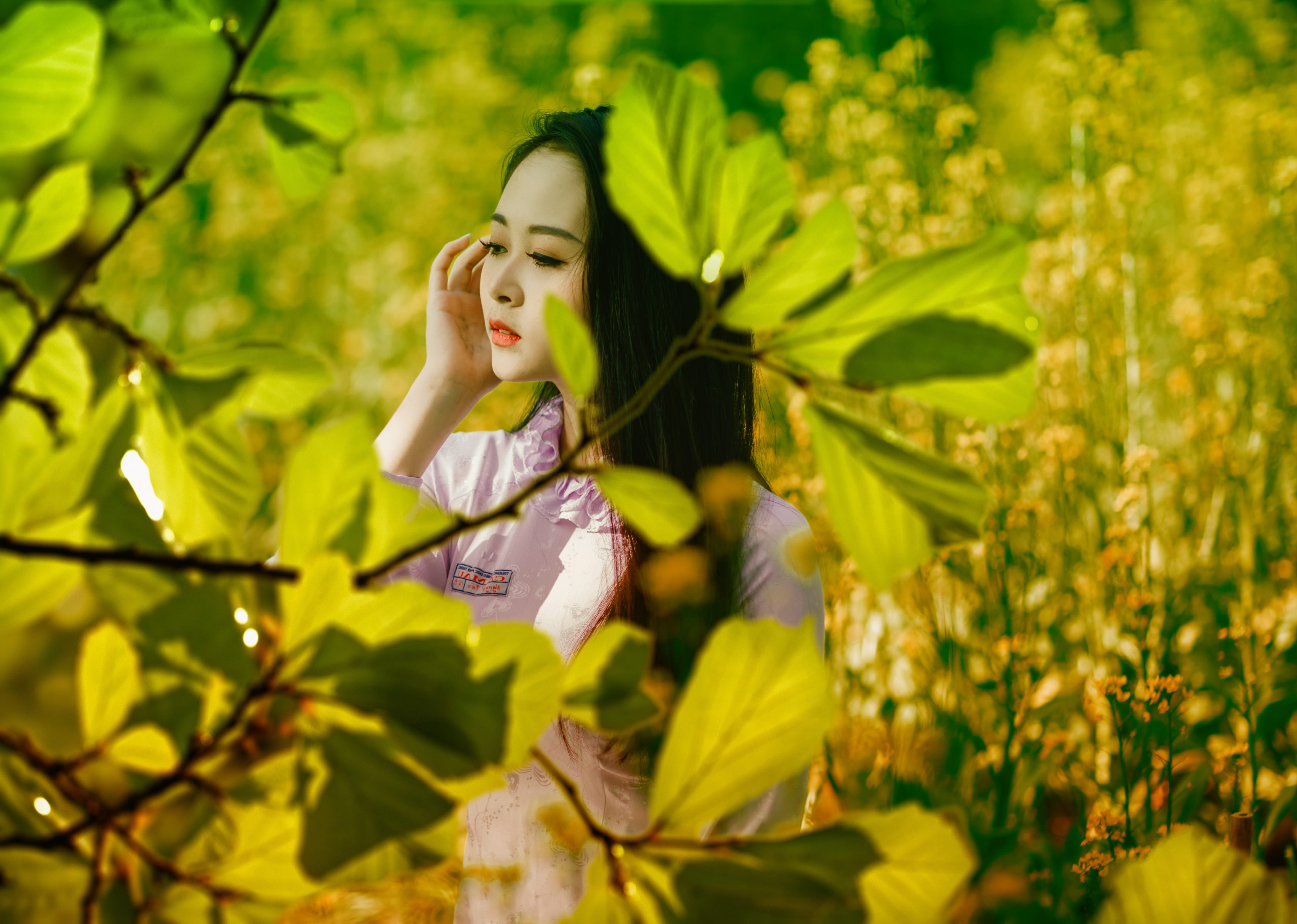 green color, summer, looking, oak, innocence, tree, garden, structure, waist up, plant, 4K, child, sunlight, relaxation, plant part, front view, bright, HD Wallpaper