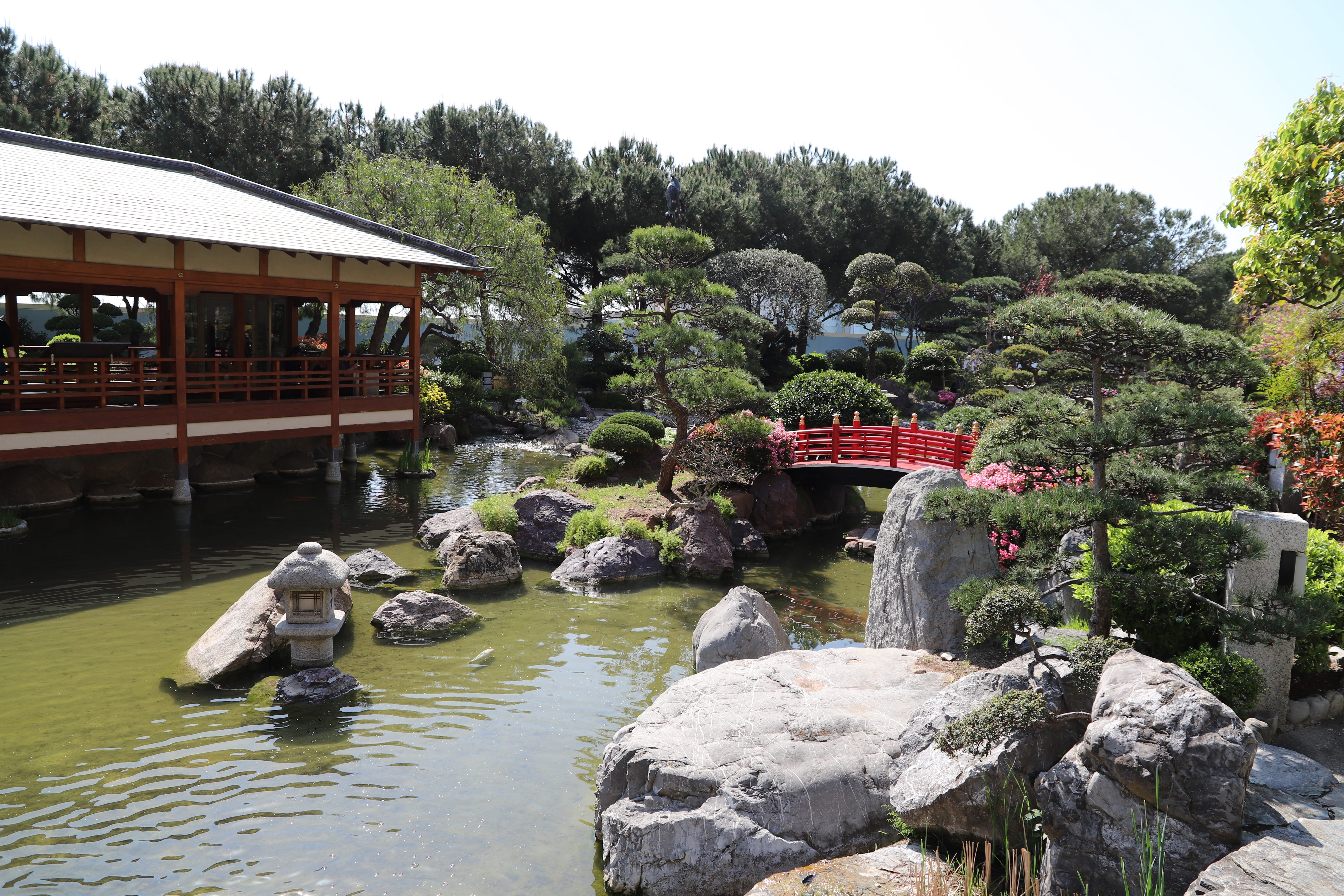 architecture, chlorophyll, cannes, tourism, the french riviera, france, traditional, japanese garden, day, all, flowers, outdoors, beautiful, growth, nature, HD Wallpaper