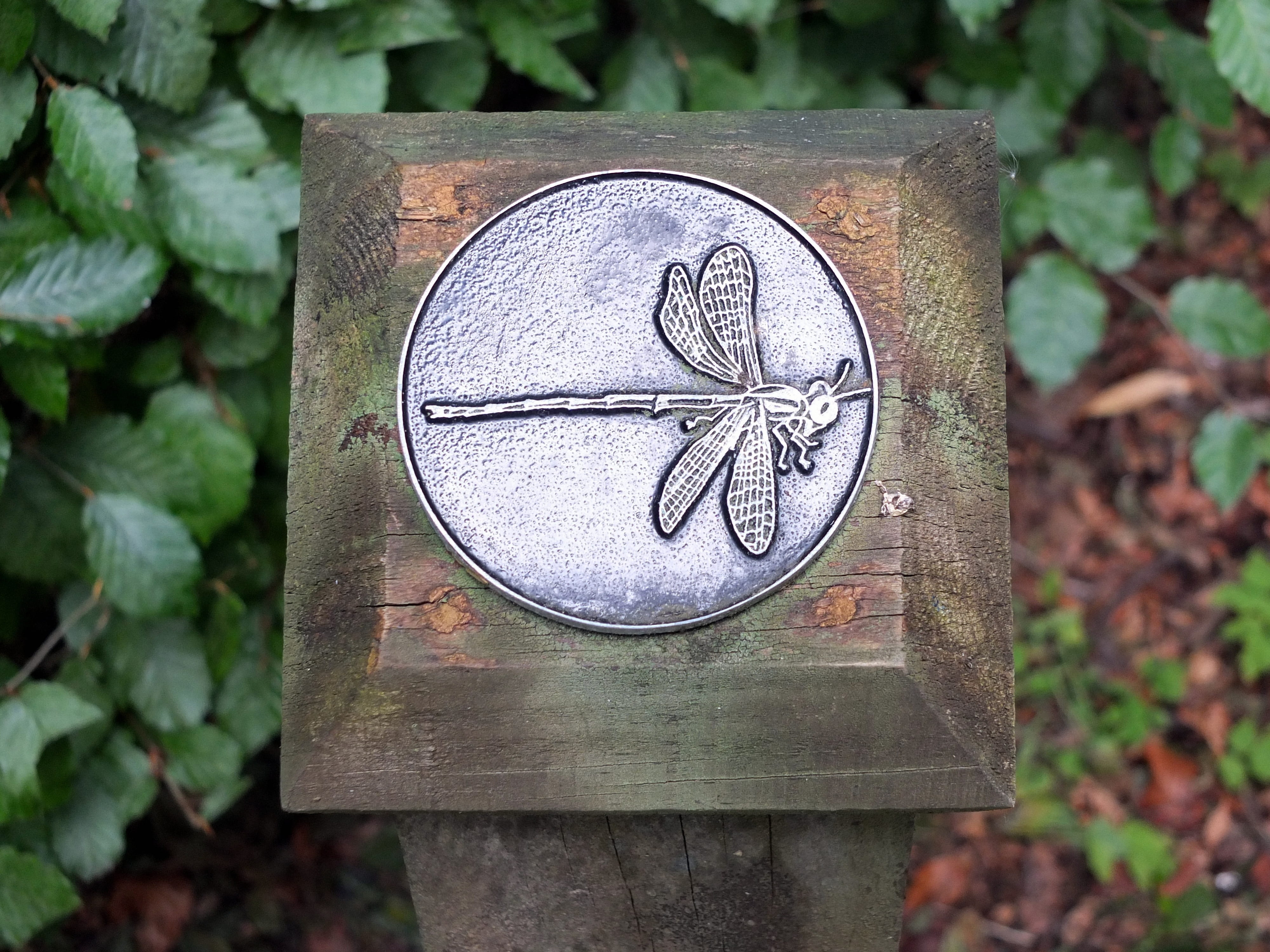 dragonfly, old, body, text, direction, metal, silver colored, outdoors, communication, carving - craft product, guide, leaves, craft, no people, close-up, HD Wallpaper