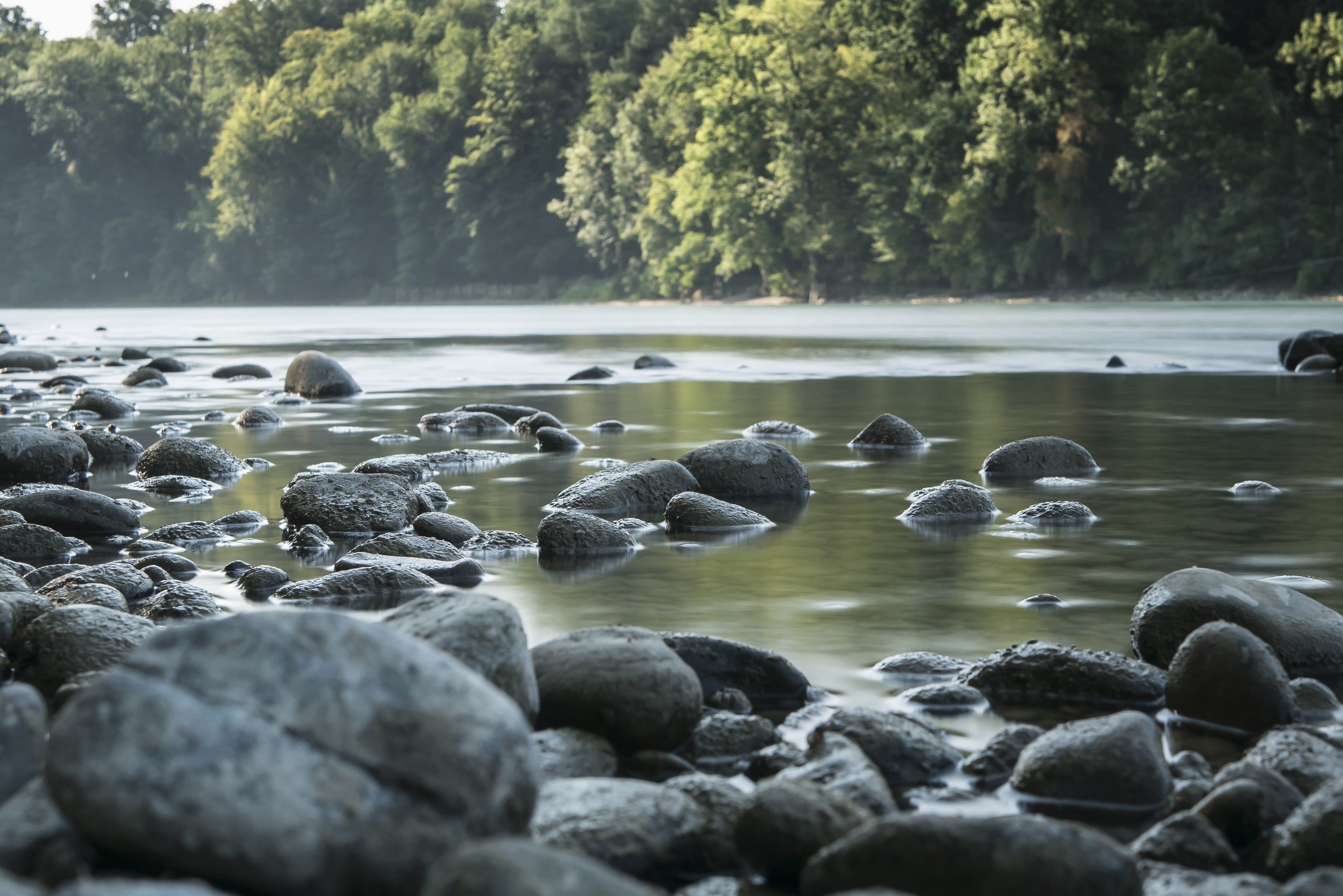 mood, water, nature, pebble, rock - object, mysthisch, 4K, outdoors, nierdrig water, animal wildlife, plant, lake, surface level, day, no people, aare, HD Wallpaper