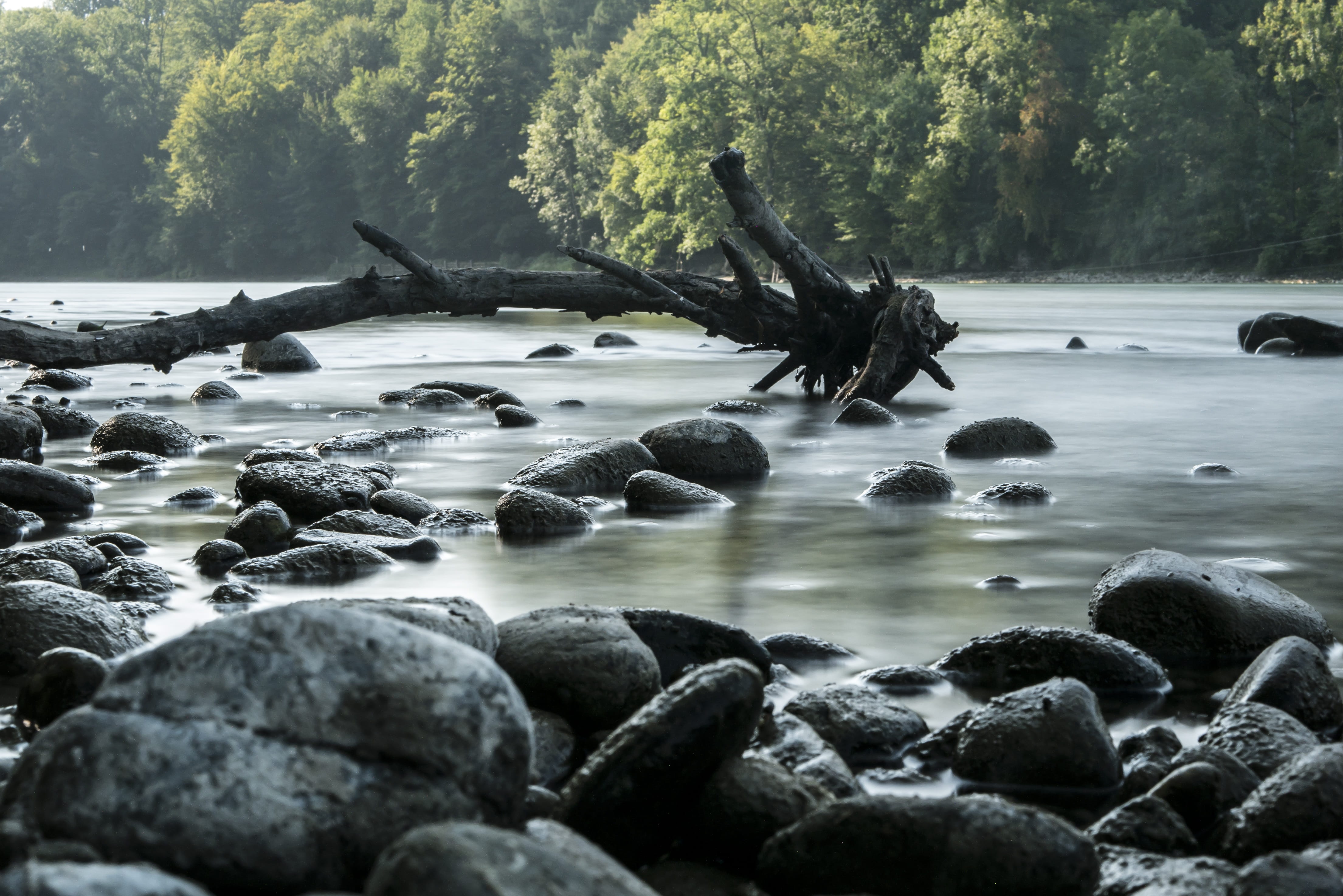 mood, landscape, nature, no people, aare, land, river, tranquil scene, rock - object, solid, tree, scenics - nature, plant, day, stones, motion, water, HD Wallpaper