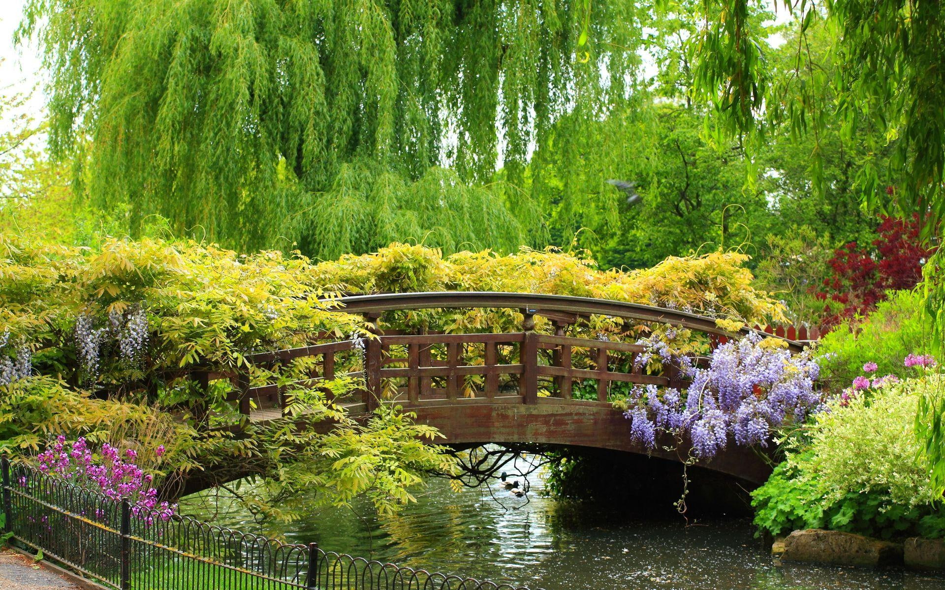 bridge, blooms, 3d and abstract, 1080P, green, time, spring, HD Wallpaper