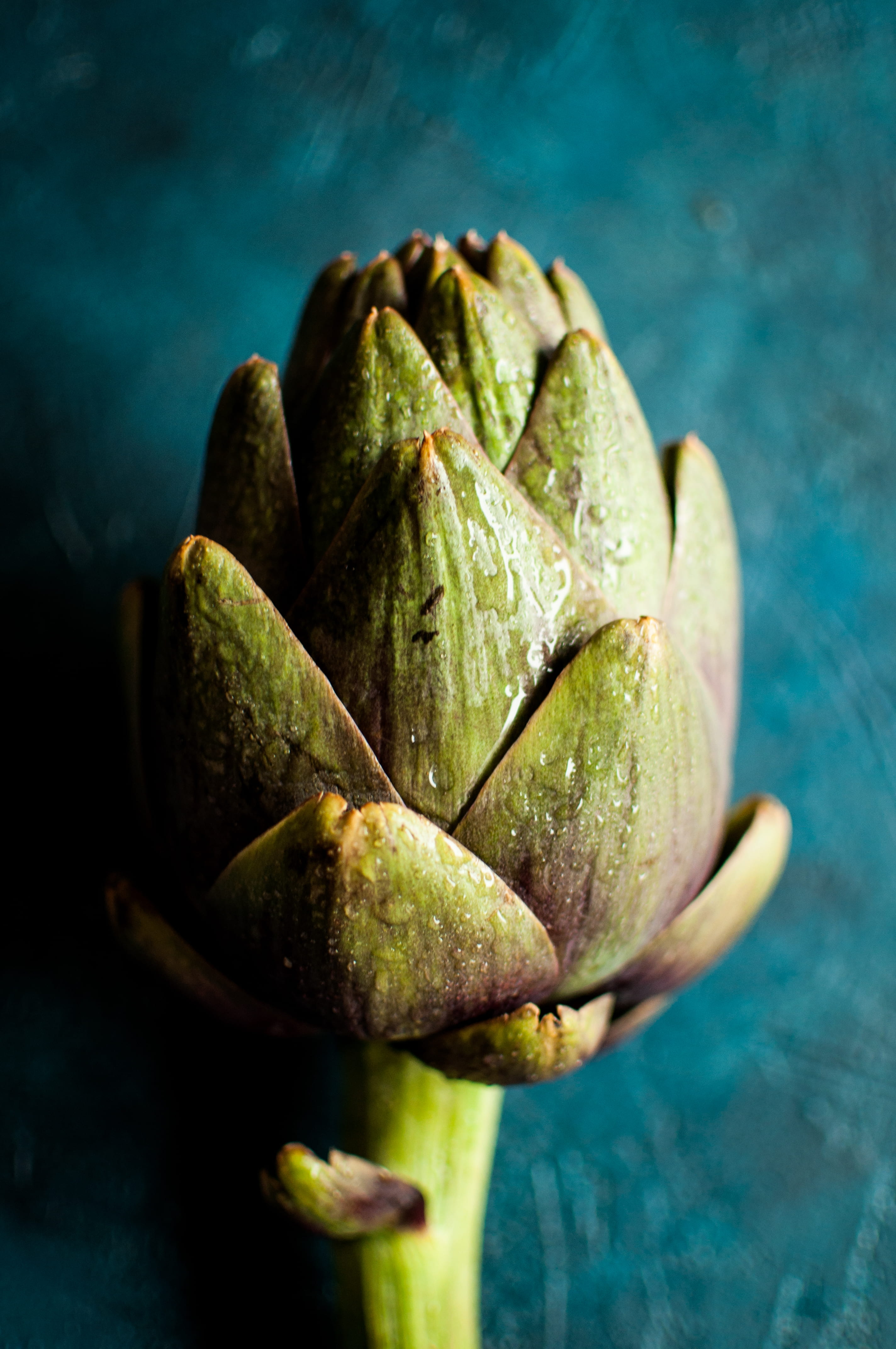 close-up, 4K, shadow, vegeterian, indoors, ripe, artichoke, flower, healthy lifestyle, focus on foreground, colored background, no people, wellbeing, still life, Phone HD Wallpaper