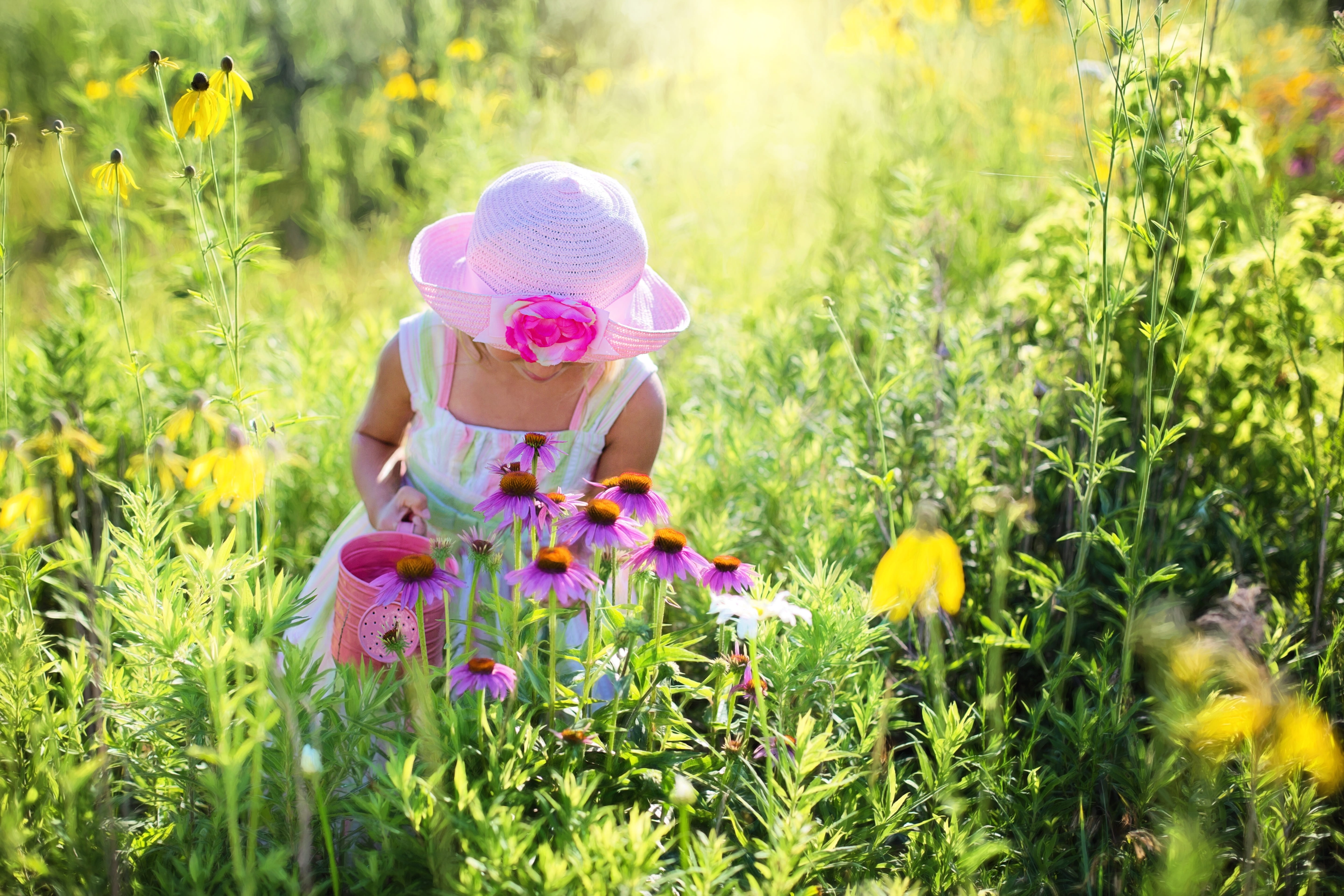 summer, girls, little girl, children only, flowering plant, kid, day, women, flower, sitting, one person, hat, childhood, maxi dress, grass, females, maxi, HD Wallpaper