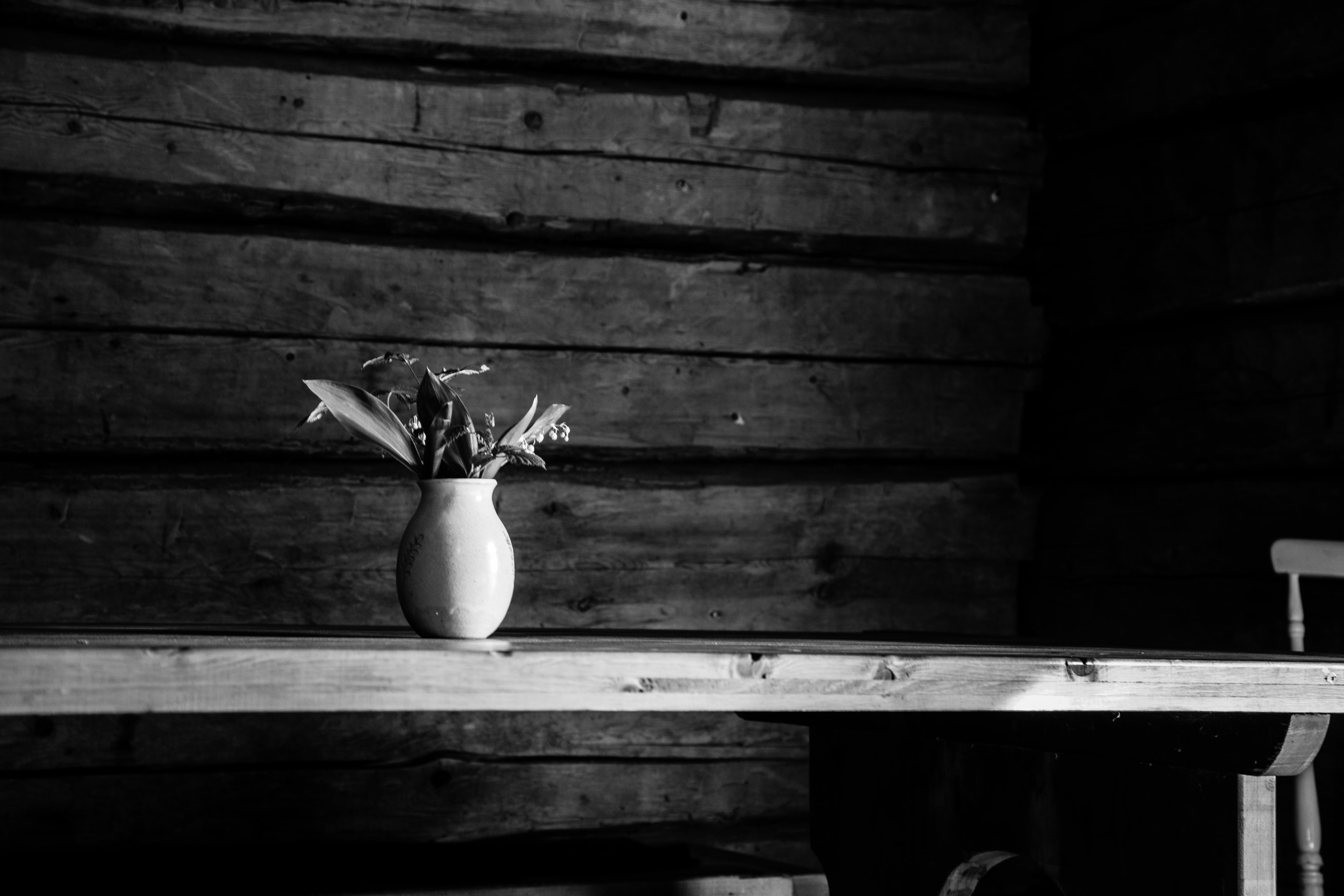 lily, nature, still life, natural, absence, small, meadow, bouquet, bench, bell, purity, black and white, 5K, architecture, white, timber, close-up, day, HD Wallpaper