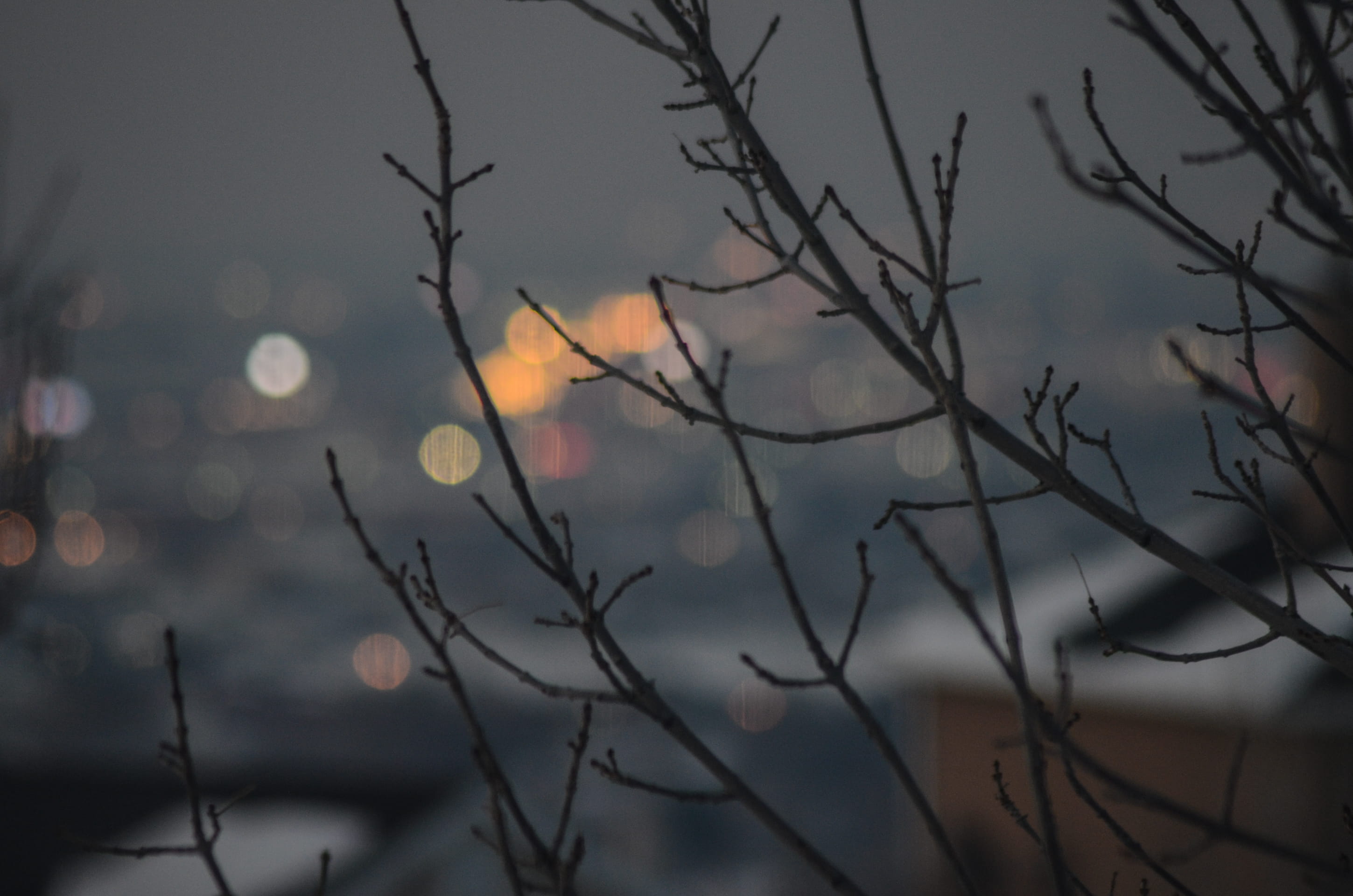 depth of field, city, tranquil scene, dark background, silhouette, tranquility, branches, scenics - nature, winter, no people, nature, focus on foreground, HD Wallpaper