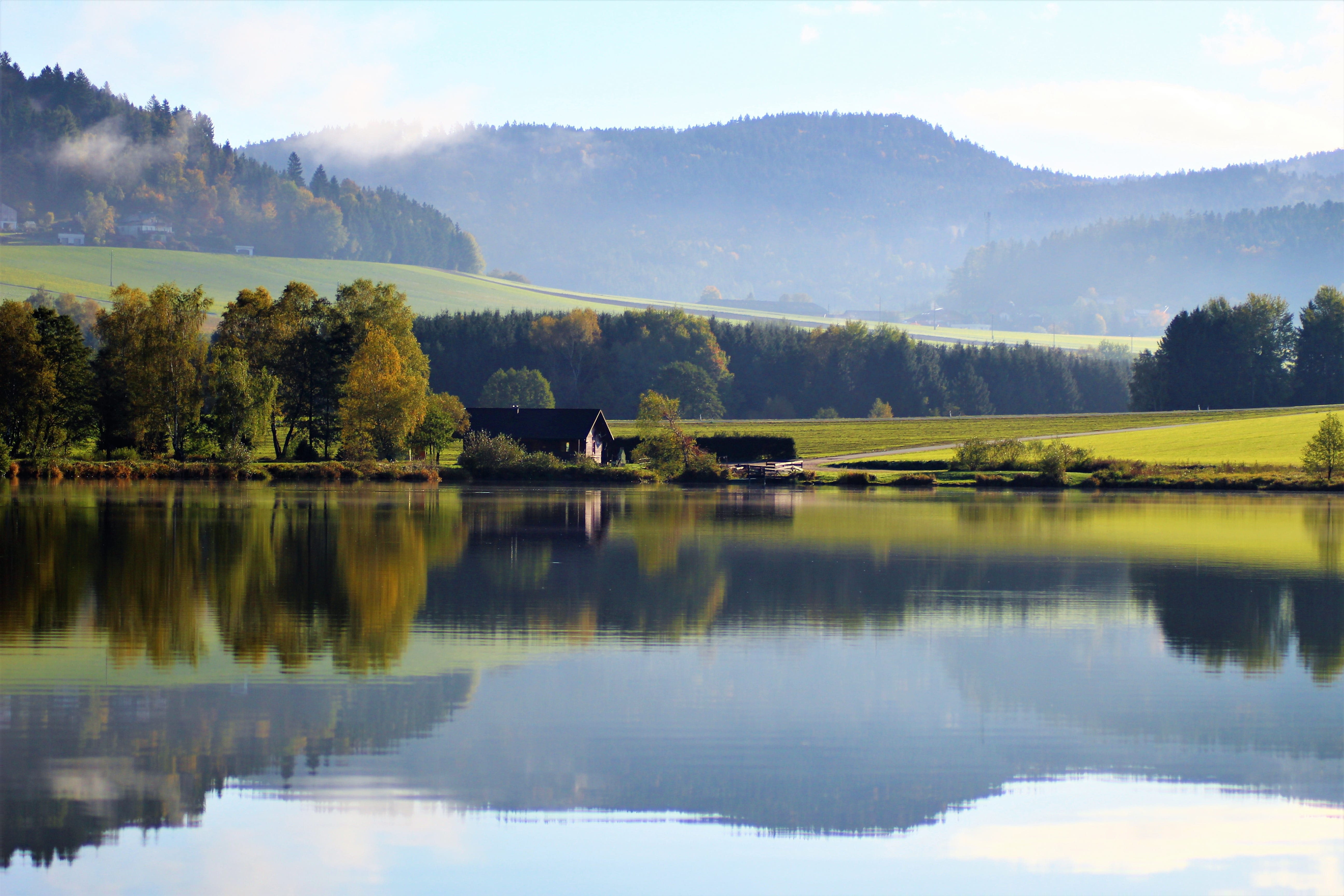 rest, mirroring, idyllic, forest, landscape, near, dream landscape, green lake, lake, mirror image, tree, reflection, morning, tranquil scene, at home, HD Wallpaper