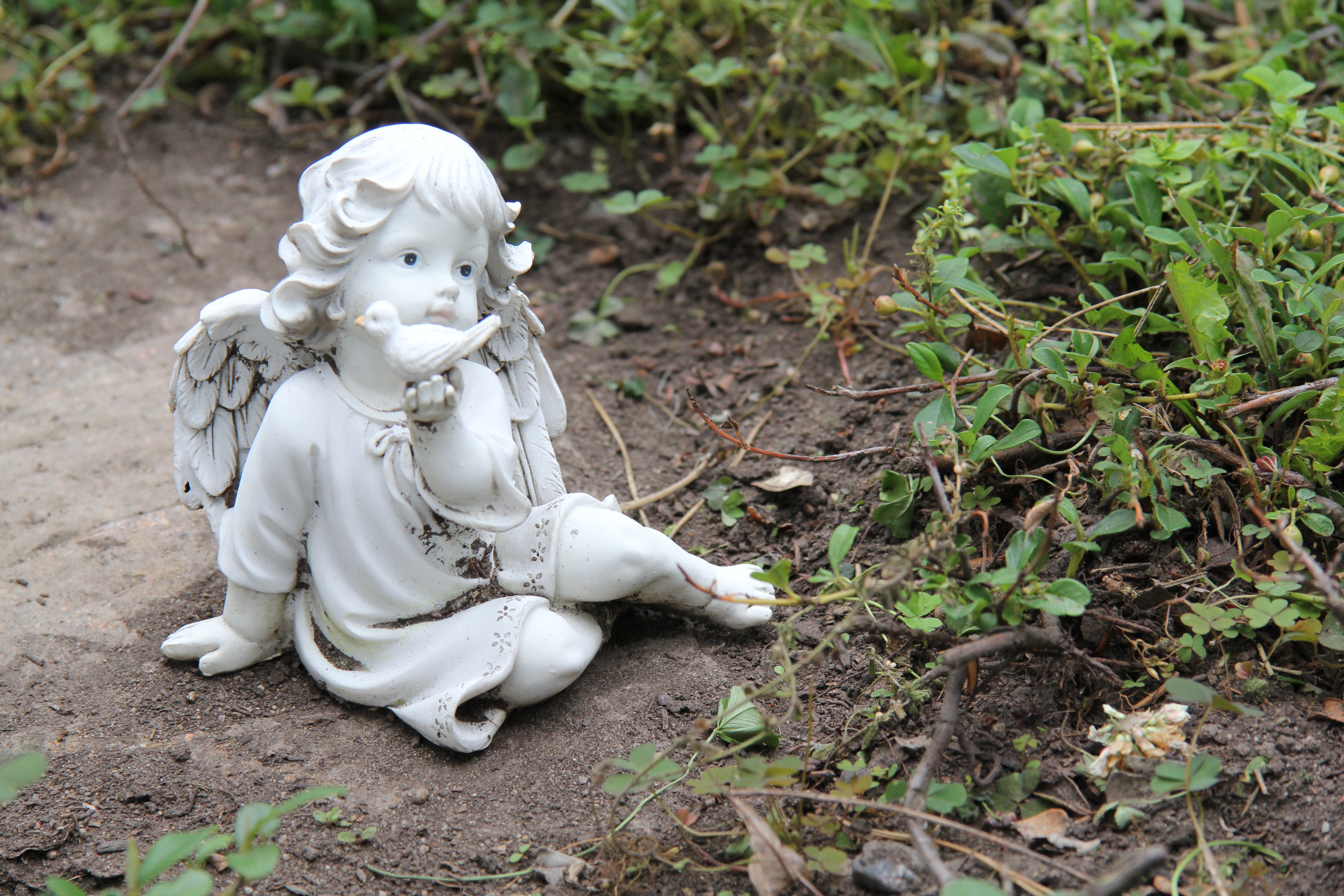 creativity, guardian angel, figure, representation, craft, decoration, force, nature, death, harmony, church, miss, die, ground, cemetery, symbol, leaf, HD Wallpaper