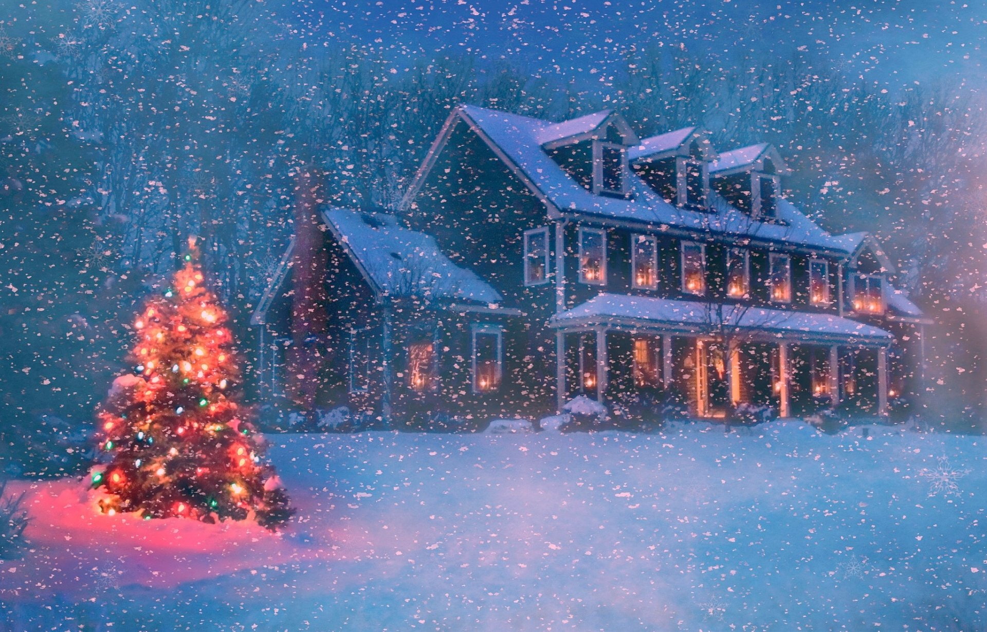 fir tree, tree, Holiday, Snowfall, decoration, illuminated, sky, Christmas Tree, extreme weather, nature, outdoors, Christmas, blizzard, Light, holiday - event, HD Wallpaper
