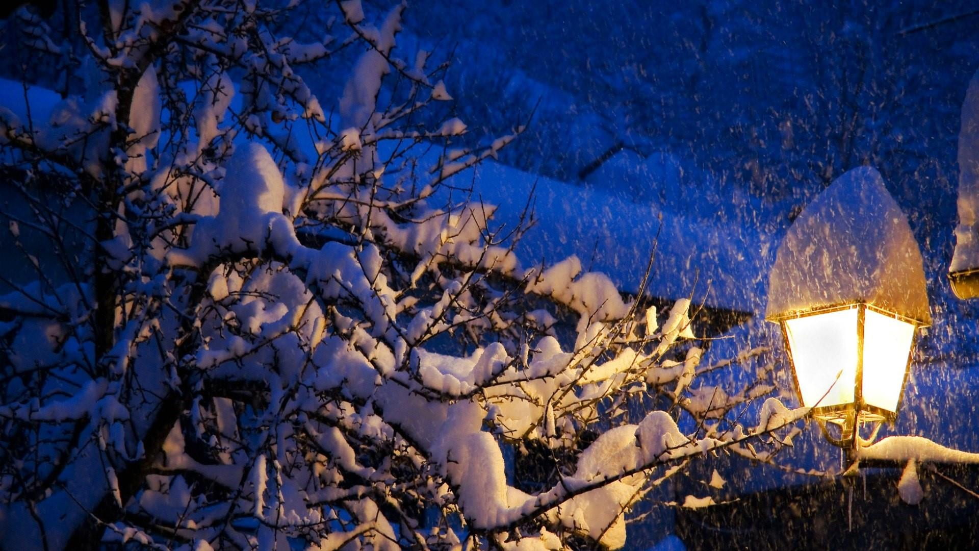 nature, winter, snowfall, plant, illuminated, blue, tranquility, lamp, scenics - nature, beauty in nature, 1080P, branch, snowcapped mountain, water, night, HD Wallpaper