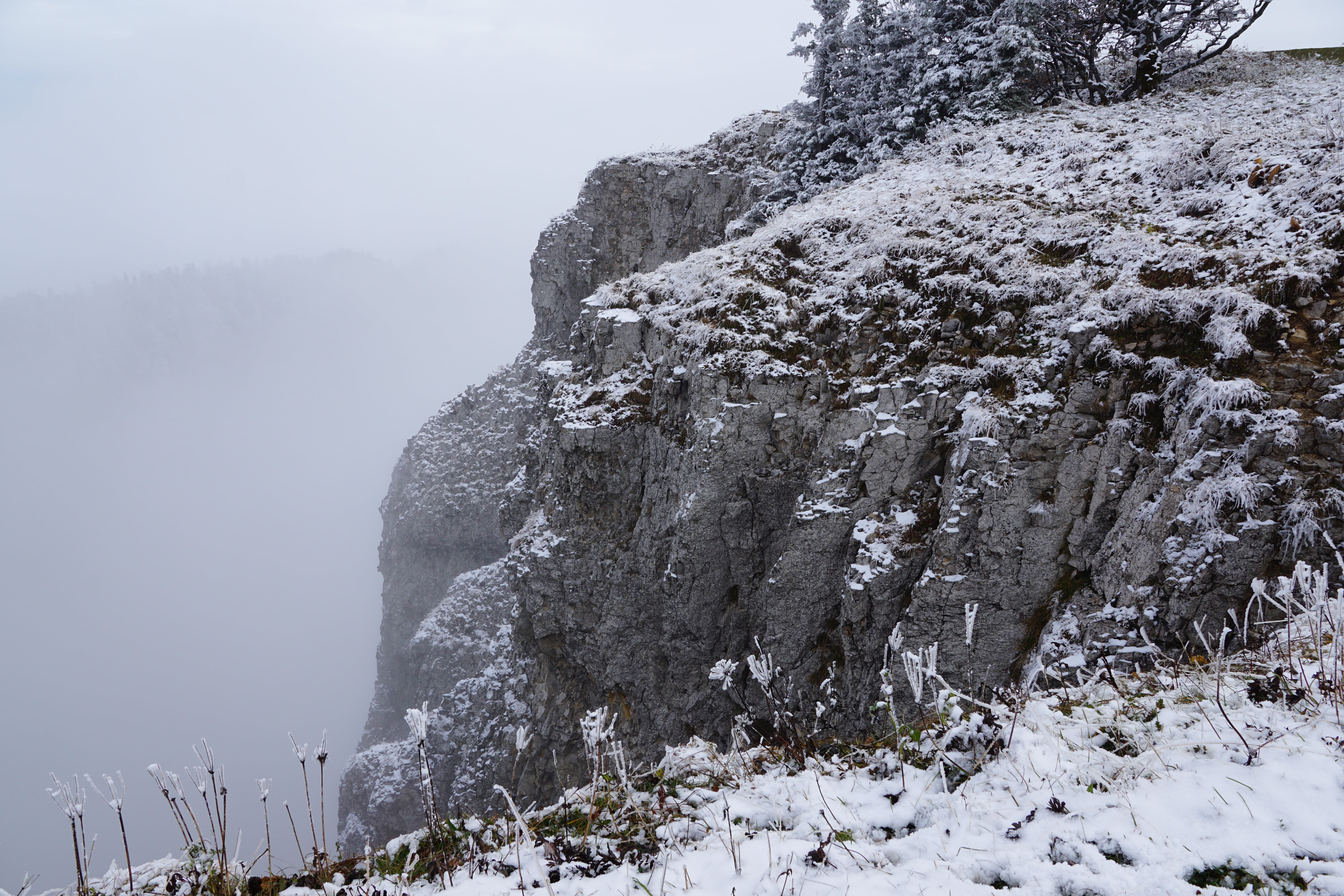 beauty in nature, jura, snow, scenics - nature, no people, rock, mountain, plant, rock - object, cold temperature, mountains, tree, solid, mountain peak, HD Wallpaper