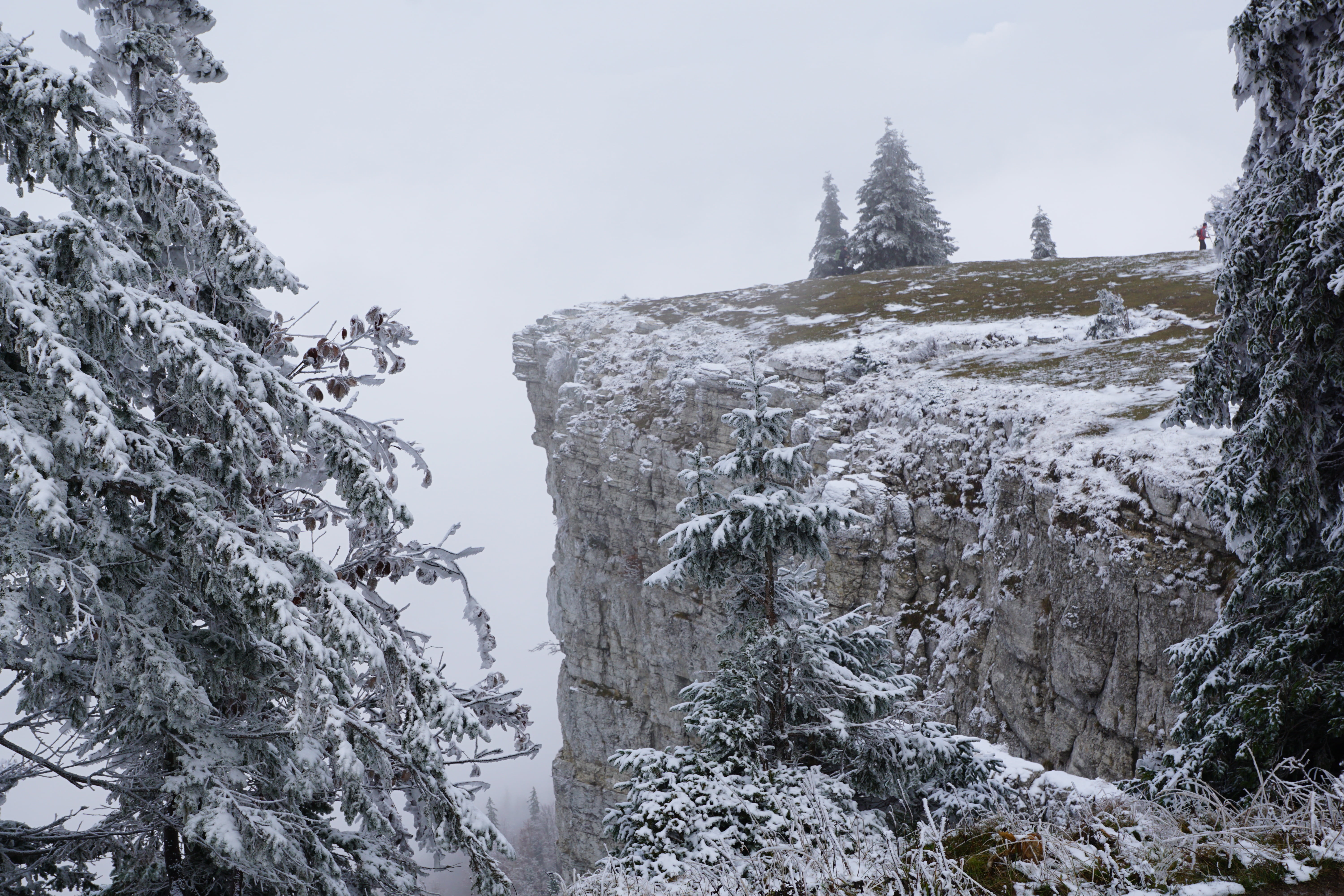 stone wall, snowing, nature, swiss jura, 5K, woodland, snow, noiraigue, winter, wall, plant, landscape, white, ice, tree, snowcapped mountain, mountain, HD Wallpaper