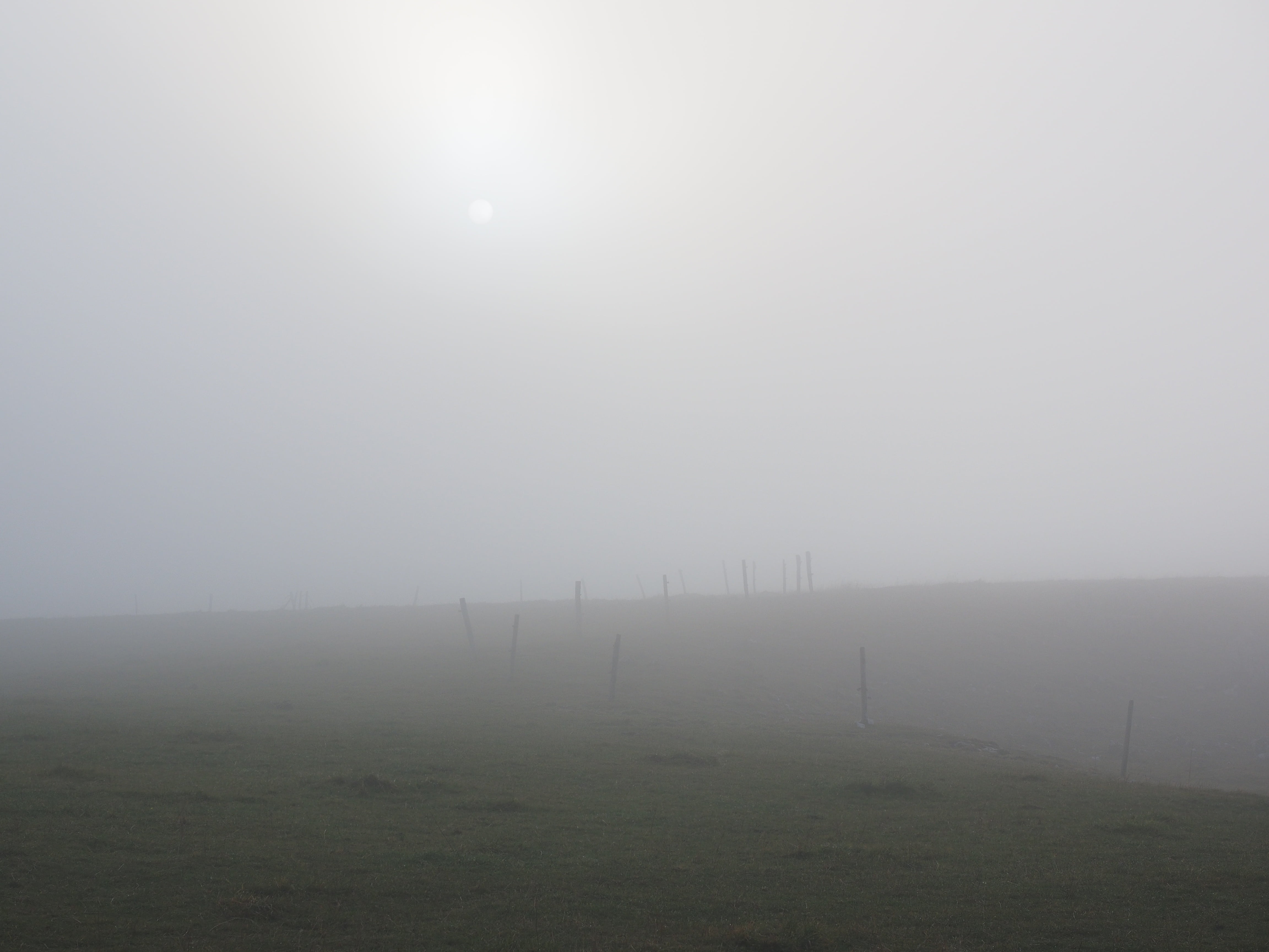 nature, 4K, idyllic, land, fence, sun, nebellandschaft, field, landscape, creux du van, non-urban scene, rural scene, scenics - nature, no people, tranquil scene, HD Wallpaper