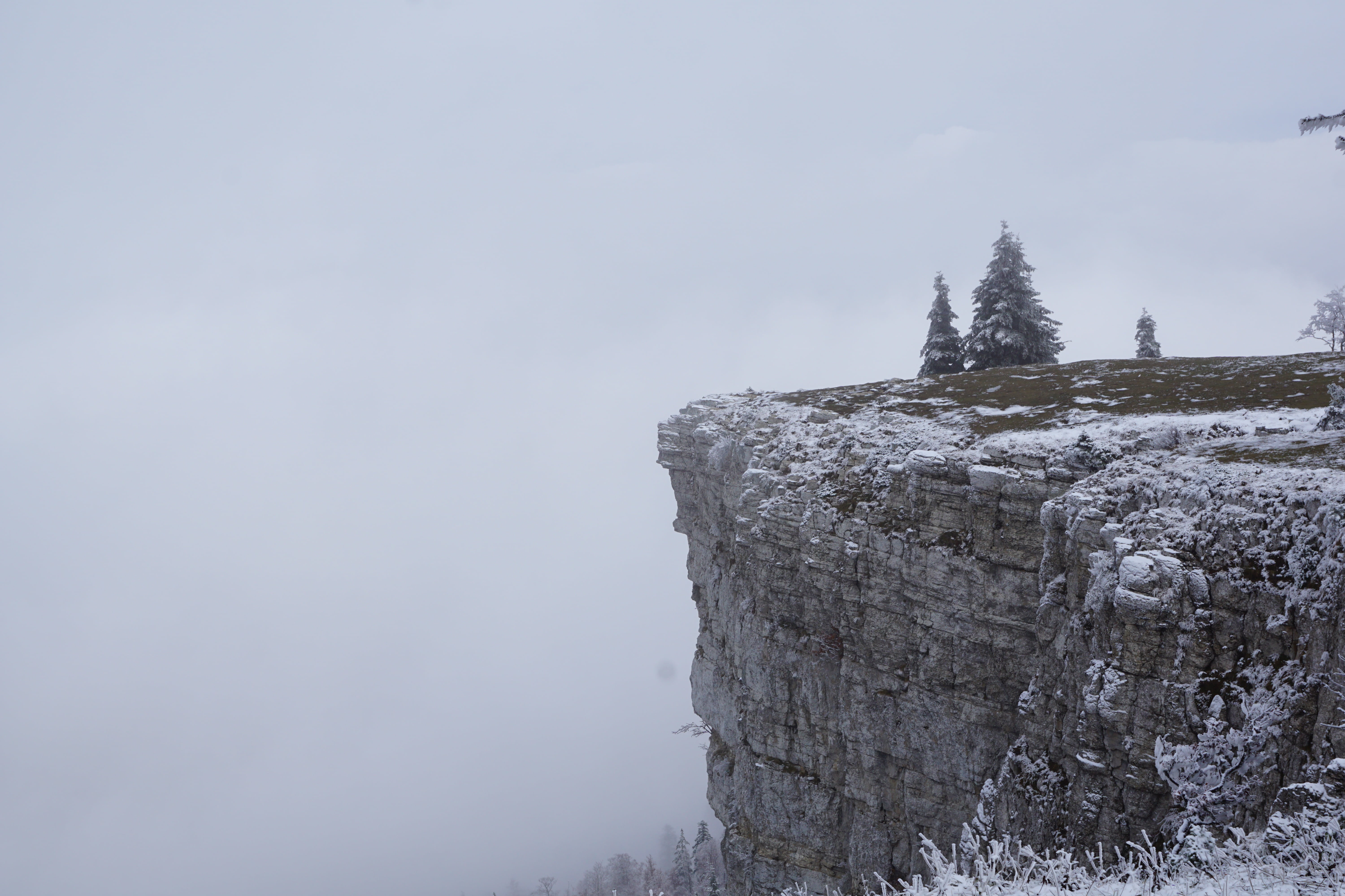 land, snow, tree, scenics - nature, 5K, environment, mountain peak, rock - object, beauty in nature, nature, cold temperature, pine woodland, sky, outdoors, HD Wallpaper