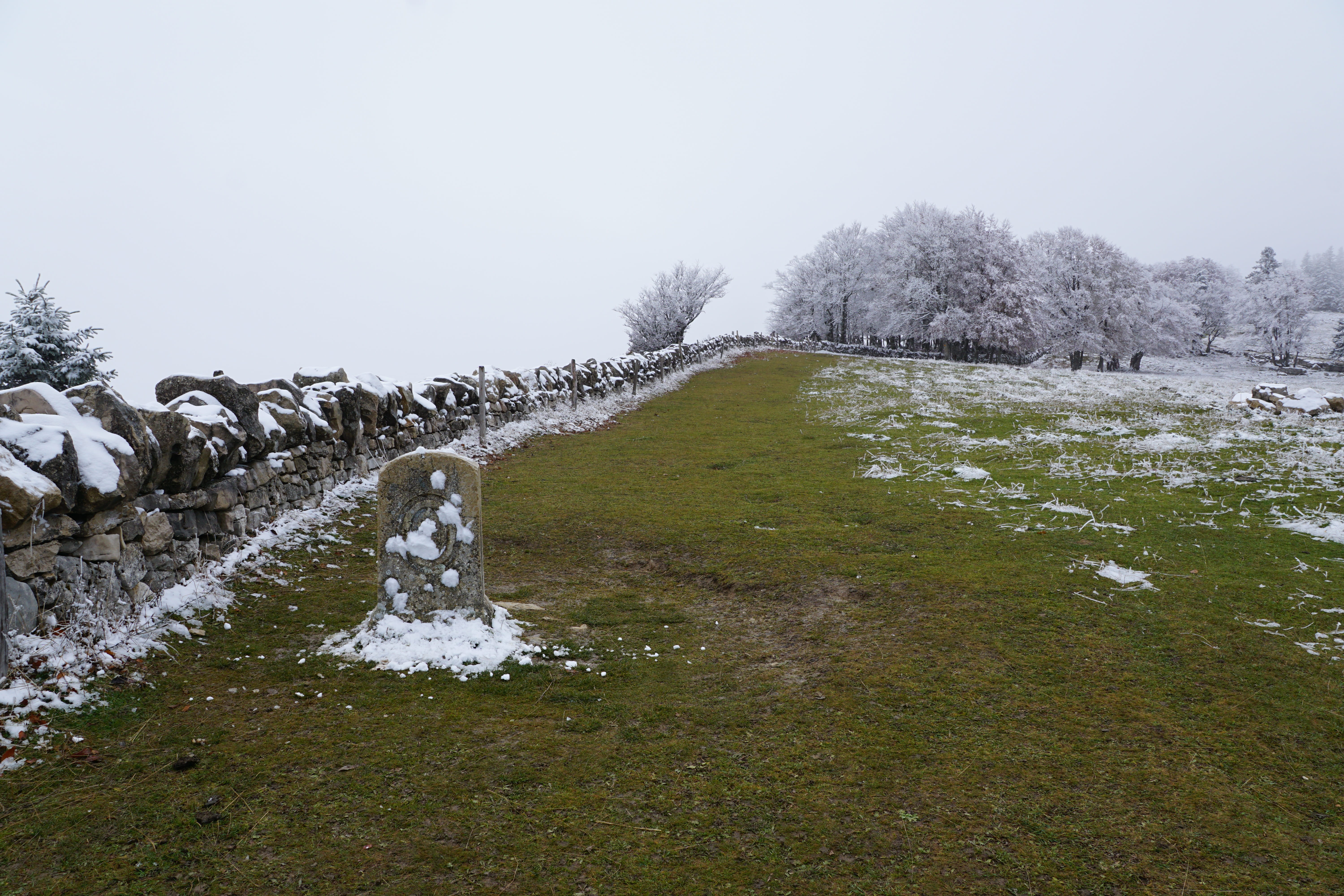 snow, plant, 5K, day, scenics - nature, no people, Mountains, tree, animal, landscape, Winter, cold temperature, jura, animal themes, switzerland, nature, HD Wallpaper