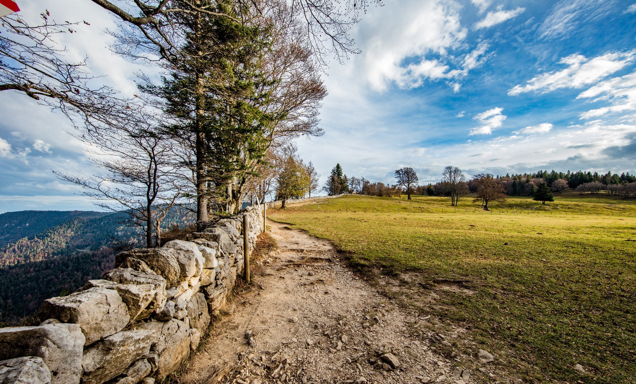 grass, Switzerland, the sky, wall, Creux du Van, trees, forest, depression, mountains, field, 1080P, clouds, stones, HD Wallpaper